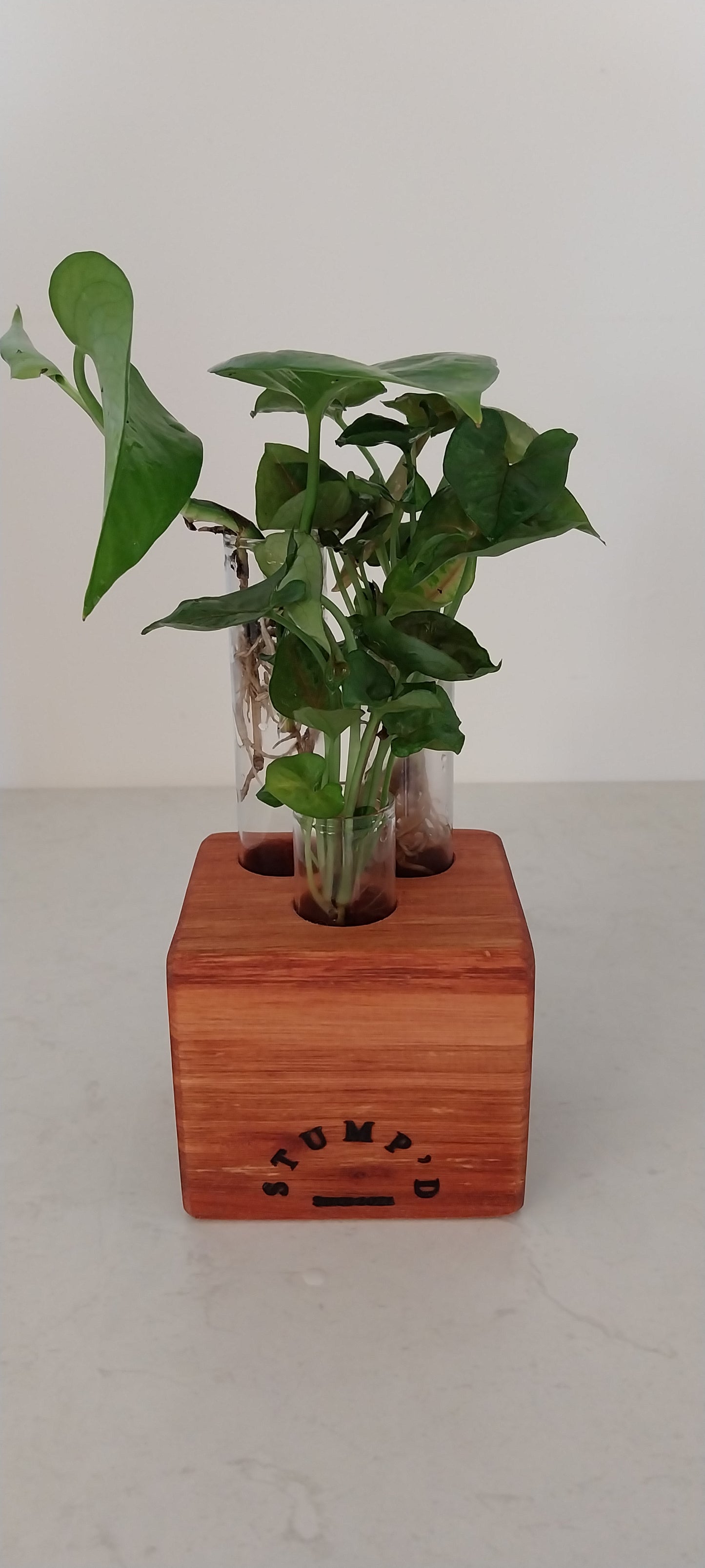 Bud Vase / Plant Propagation Stand 3 tubes - Karri