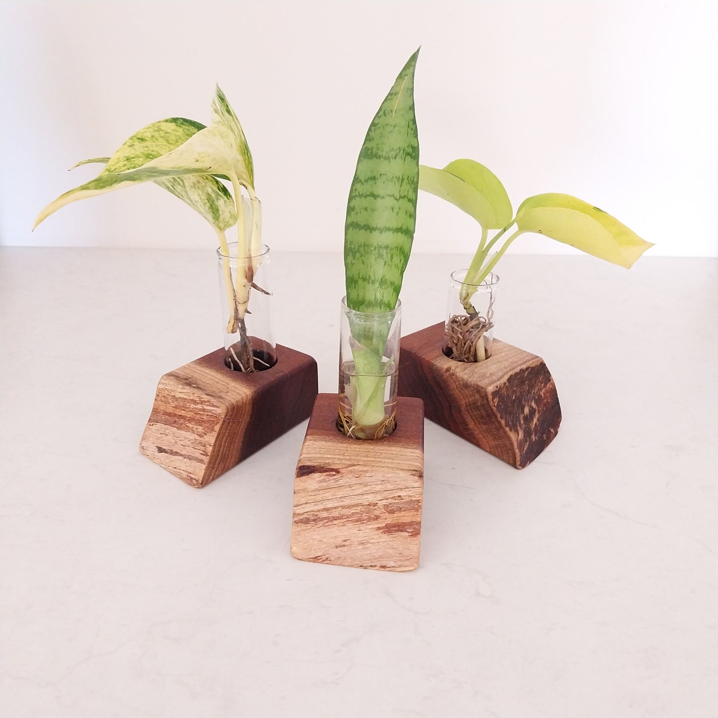 Bud Vase / Plant Propagation Stand 1 Tube