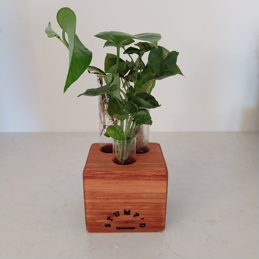 Bud Vase / Plant Propagation Stand 3 tubes - Karri