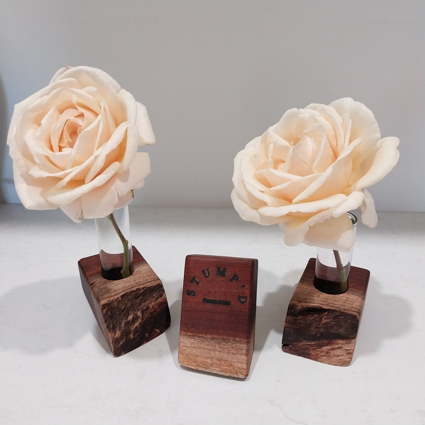 Bud Vase / Plant Propagation Stand 1 Tube