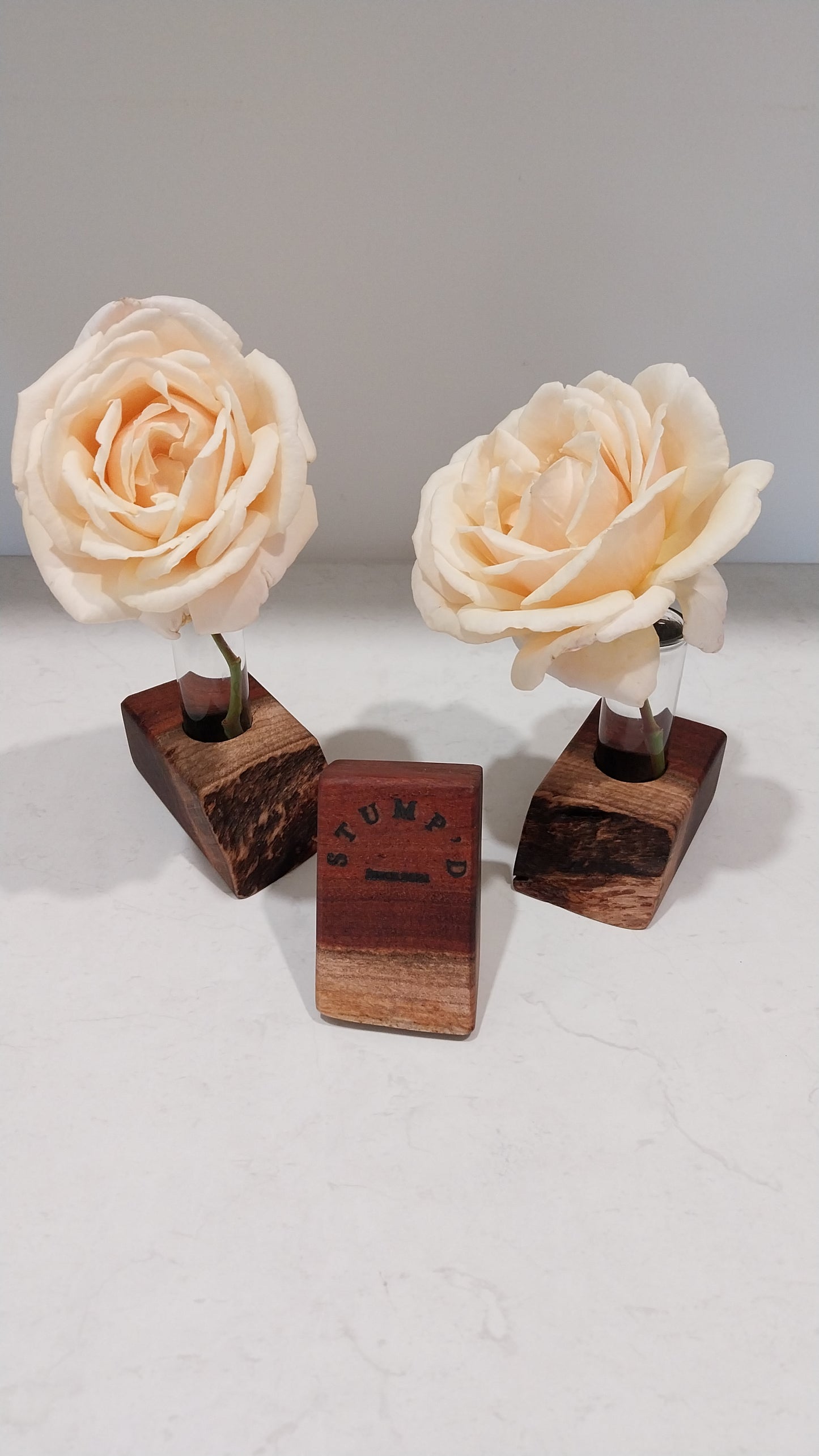 Bud Vase / Plant Propagation Stand 1 Tube