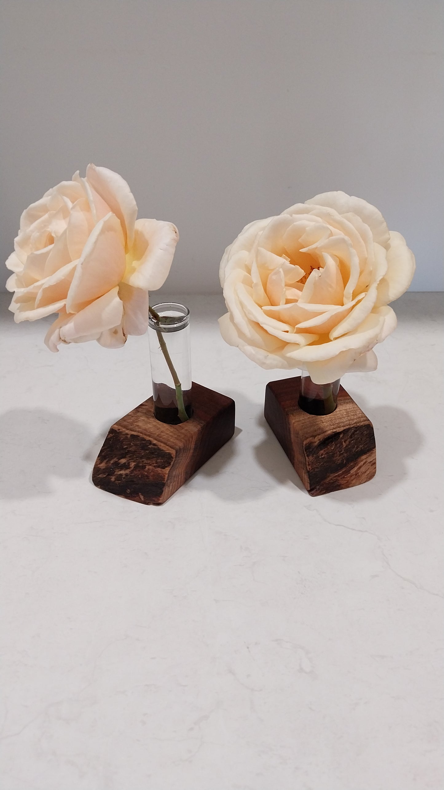 Bud Vase / Plant Propagation Stand 1 Tube