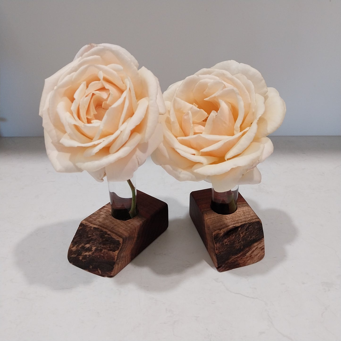 Bud Vase / Plant Propagation Stand 1 Tube