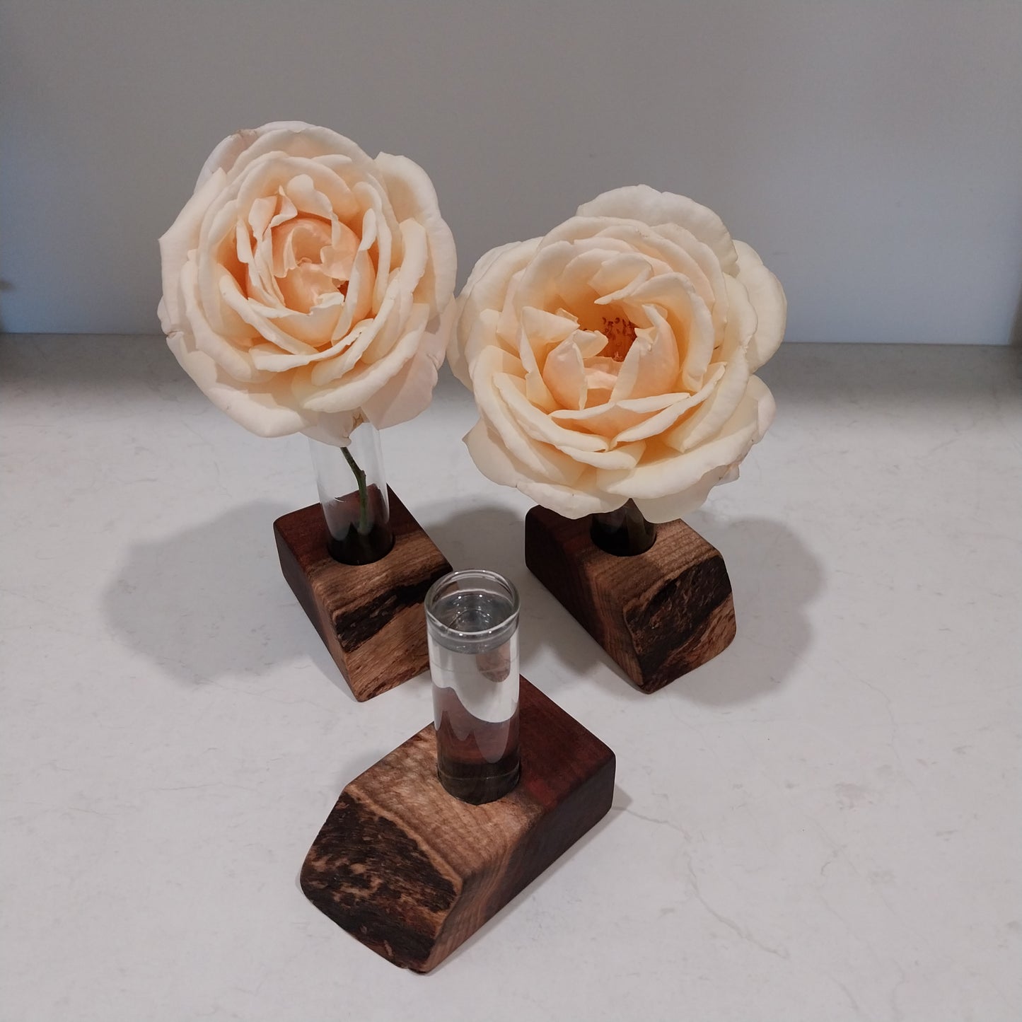 Bud Vase / Plant Propagation Stand 1 Tube