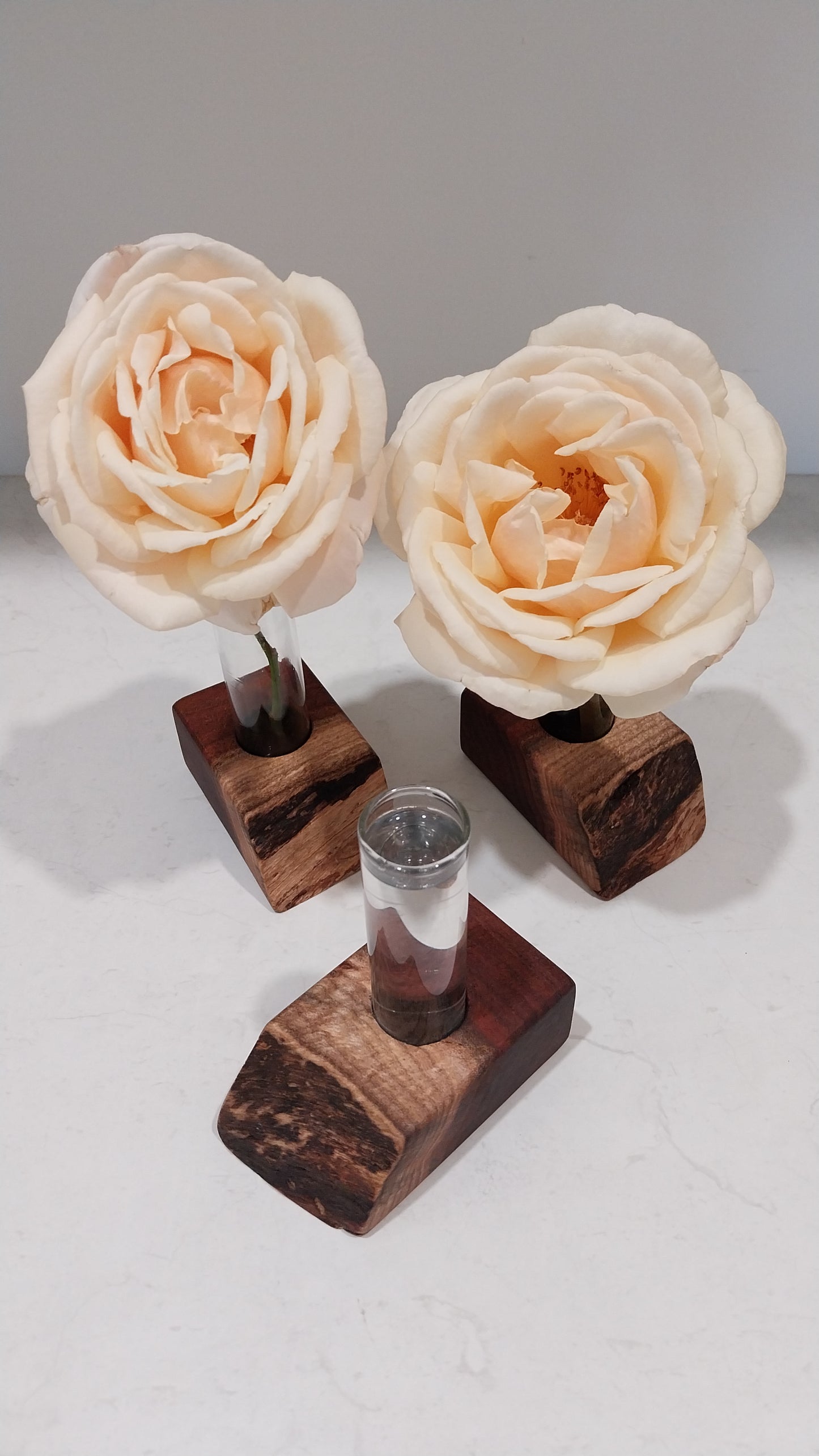 Bud Vase / Plant Propagation Stand 1 Tube