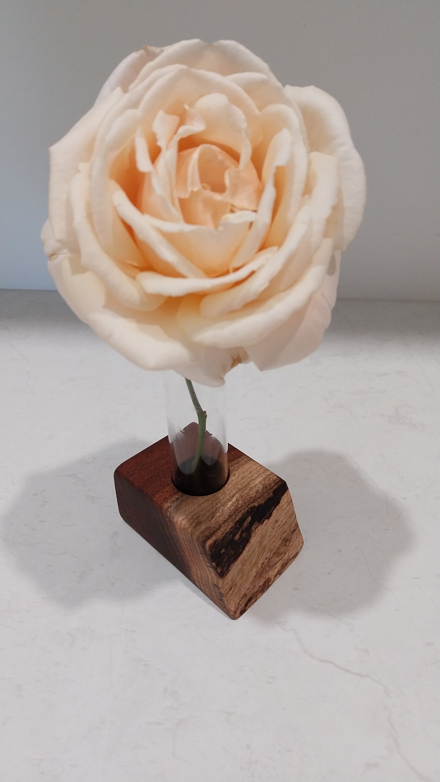 Bud Vase / Plant Propagation Stand 1 Tube