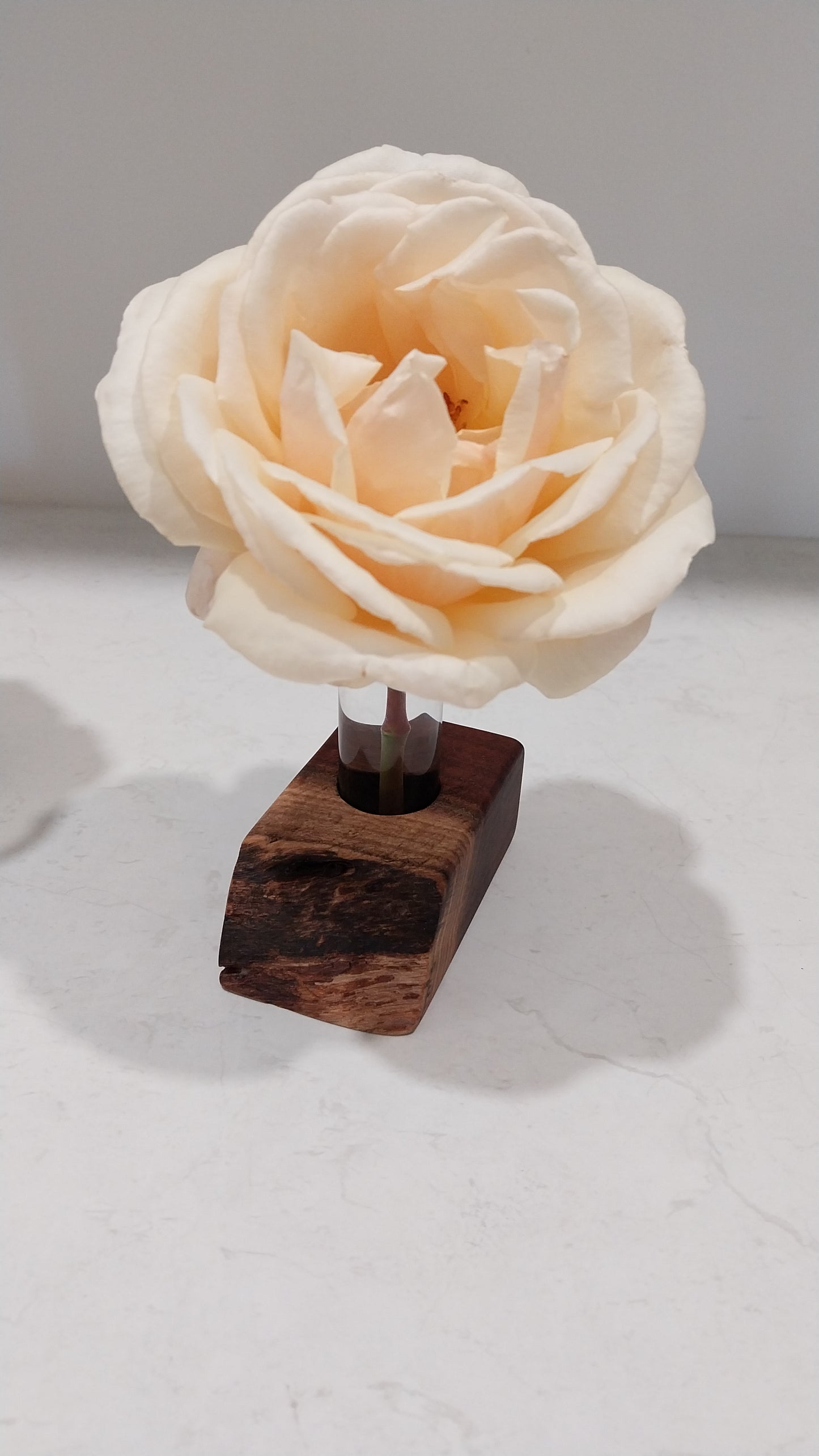 Bud Vase / Plant Propagation Stand 1 Tube