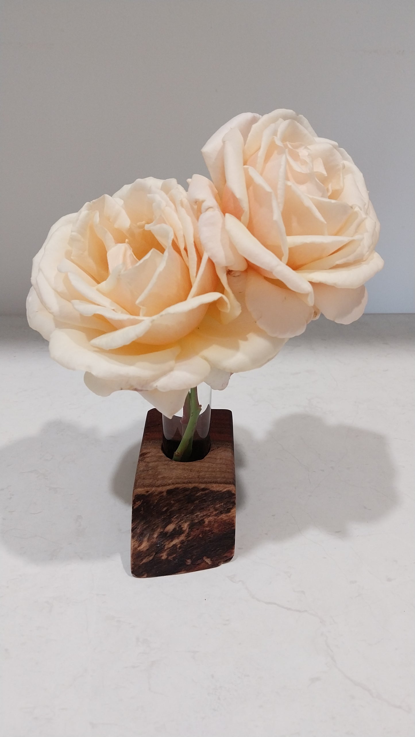 Bud Vase / Plant Propagation Stand 1 Tube