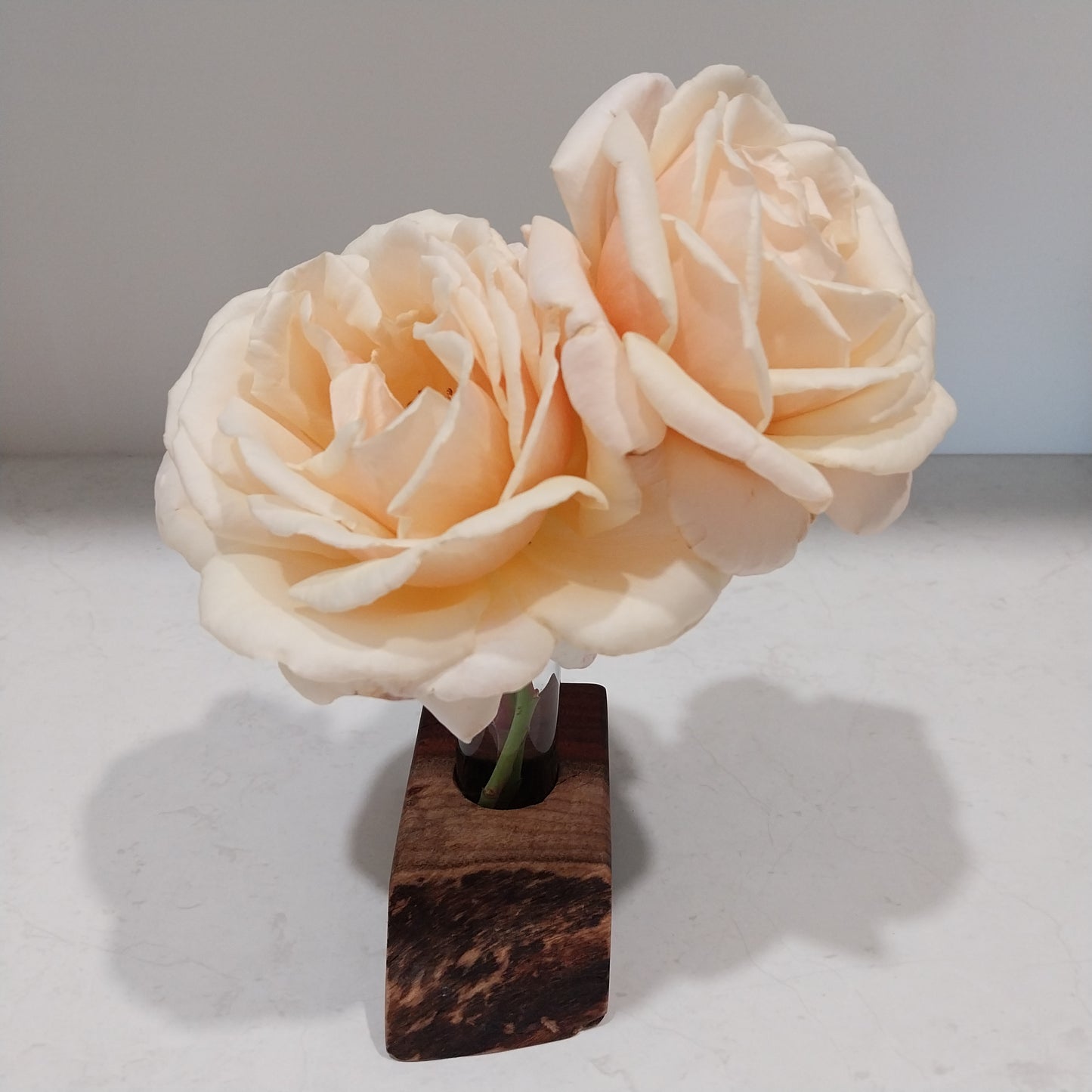 Bud Vase / Plant Propagation Stand 1 Tube