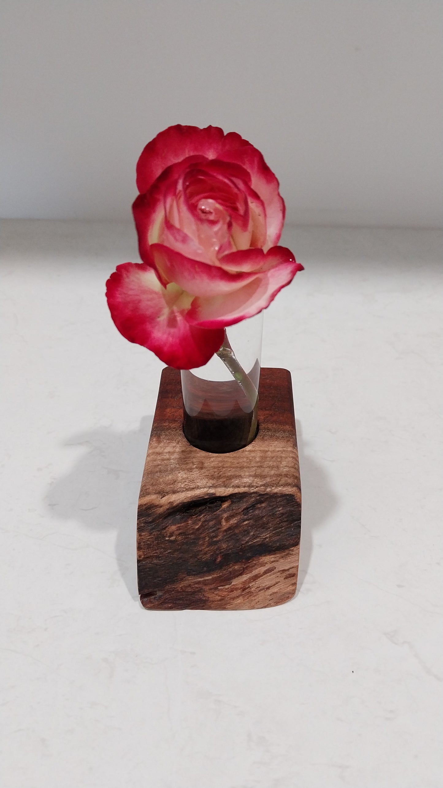 Bud Vase / Plant Propagation Stand 1 Tube