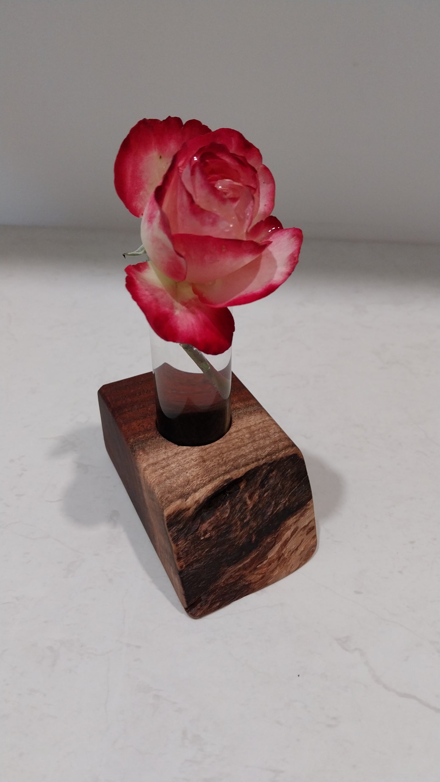 Bud Vase / Plant Propagation Stand 1 Tube