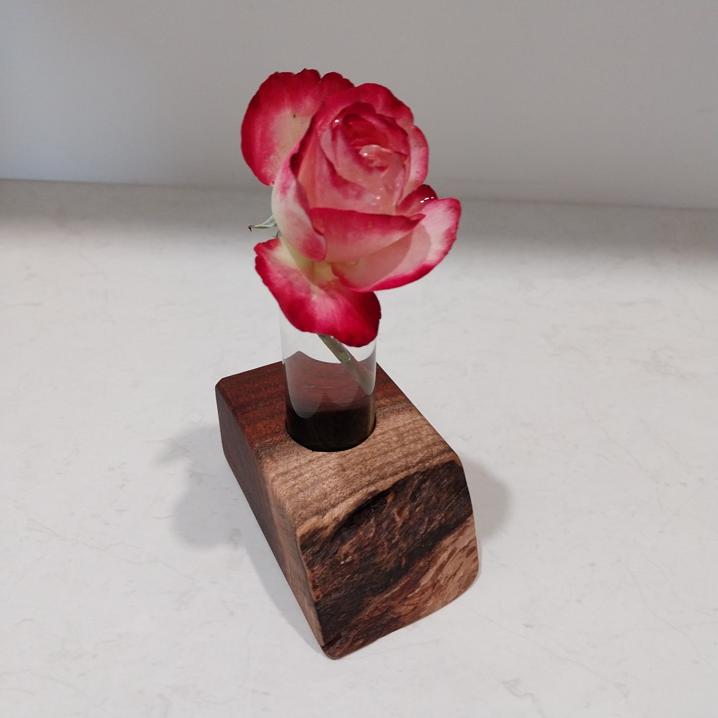 Bud Vase / Plant Propagation Stand 1 Tube