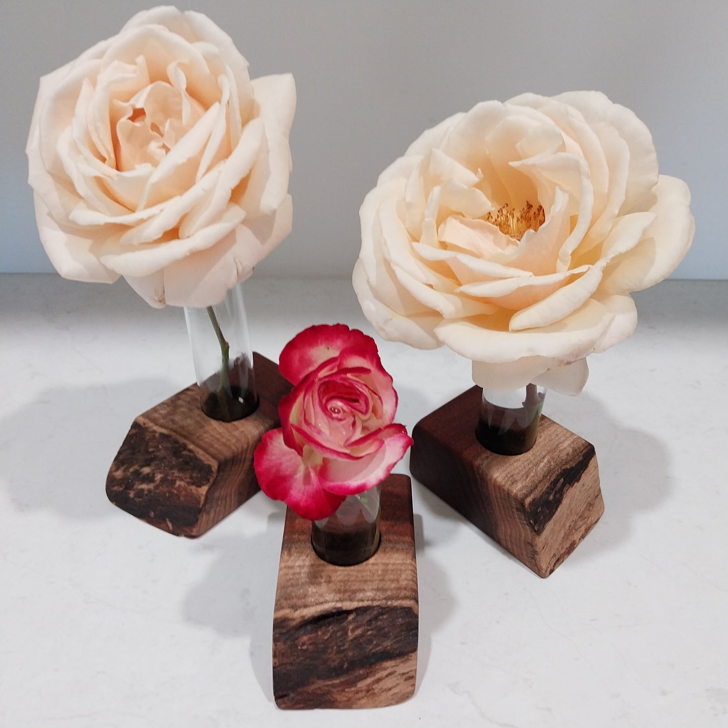 Bud Vase / Plant Propagation Stand 1 Tube