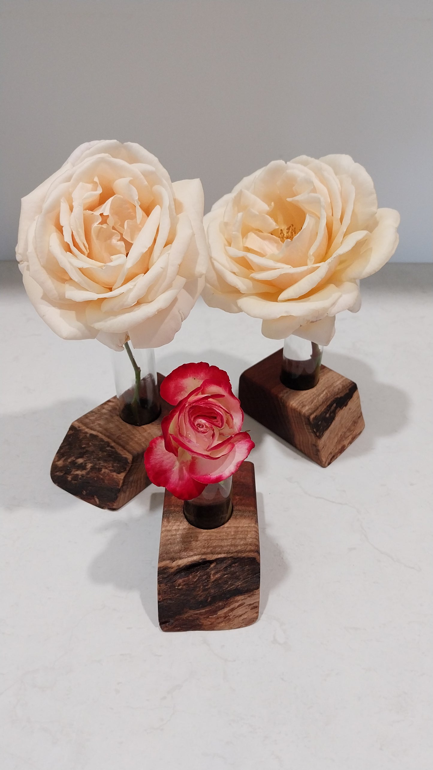 Bud Vase / Plant Propagation Stand 1 Tube