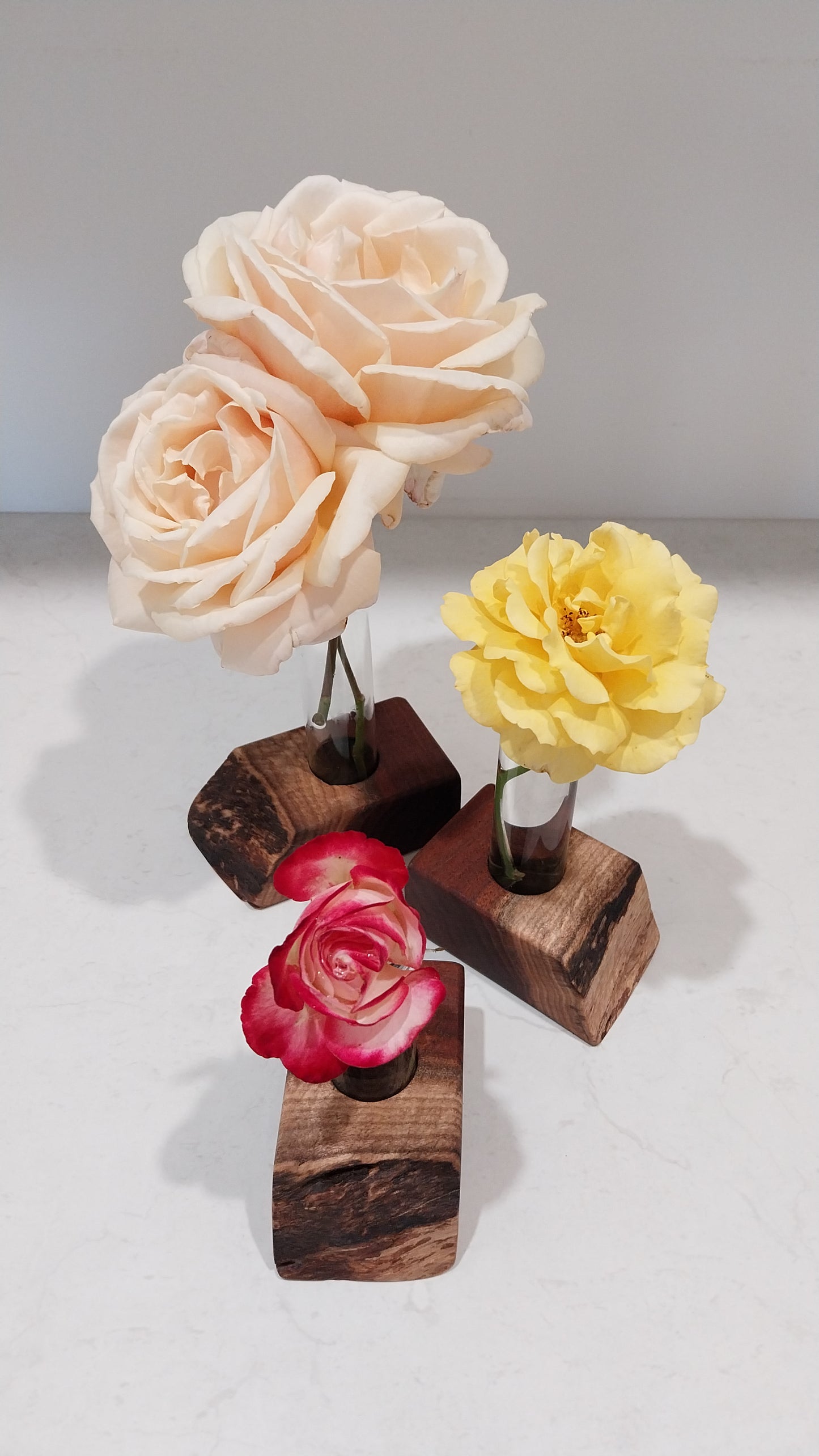 Bud Vase / Plant Propagation Stand 1 Tube