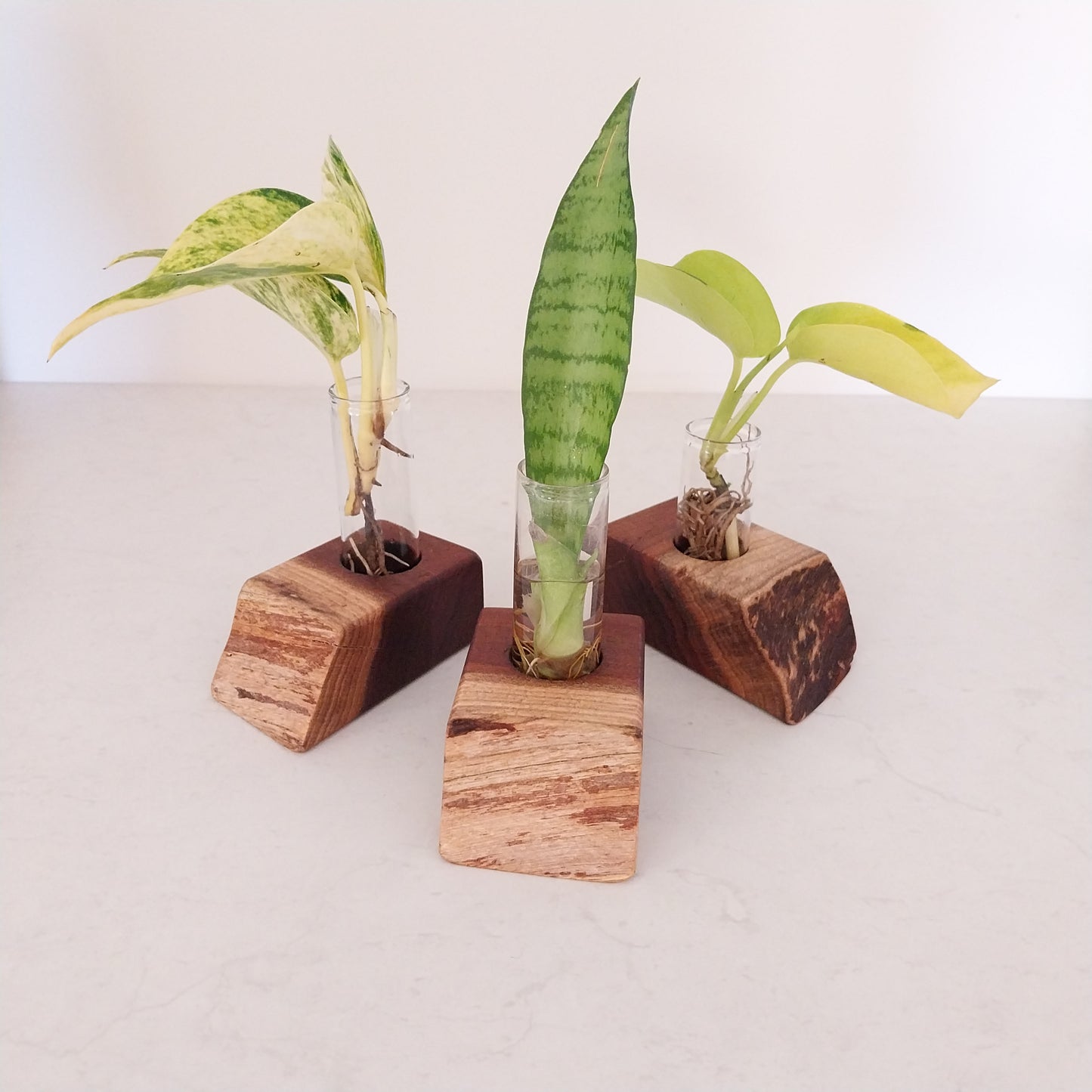 Bud Vase / Plant Propagation Stand 1 Tube