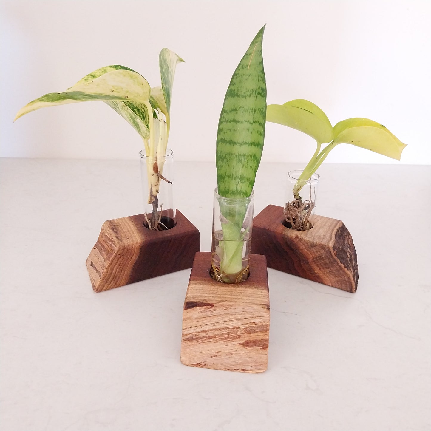 Bud Vase / Plant Propagation Stand 1 Tube