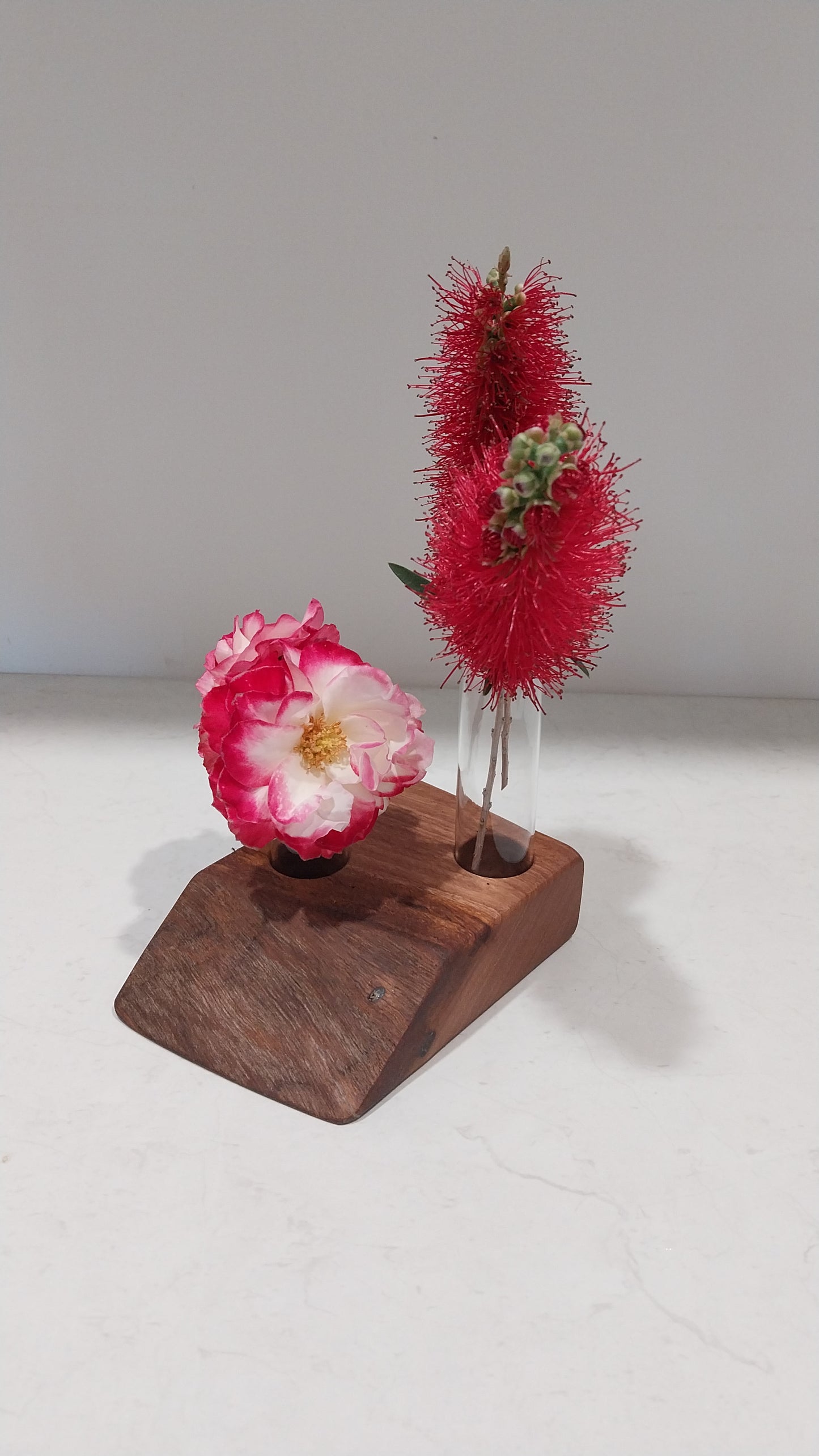 Bud Vase / Plant Propagation Stand 2 Tube - Tasmanian Blackwood