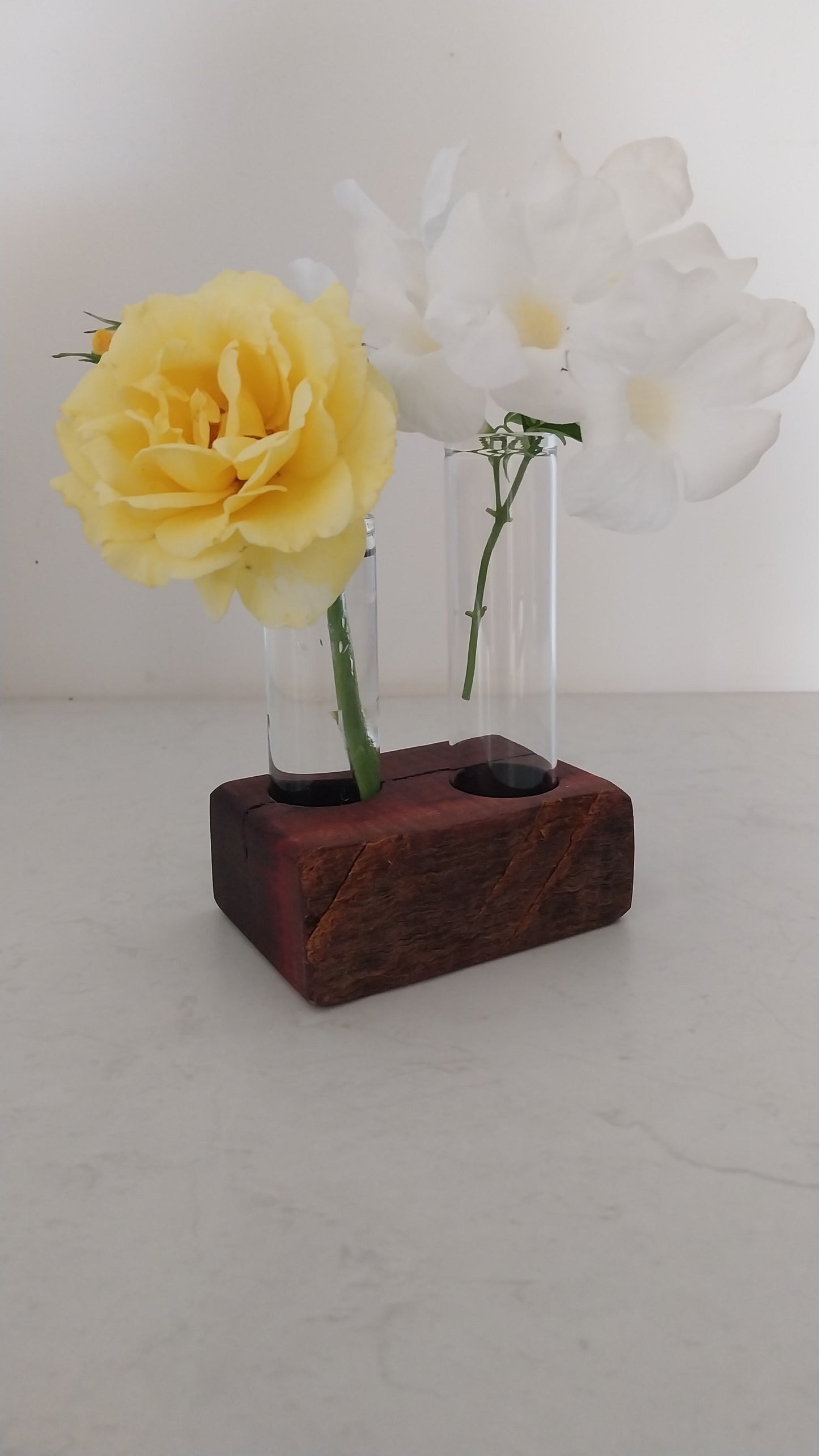 Bud Vase / Plant Propagation 2 tubes - Jarrah