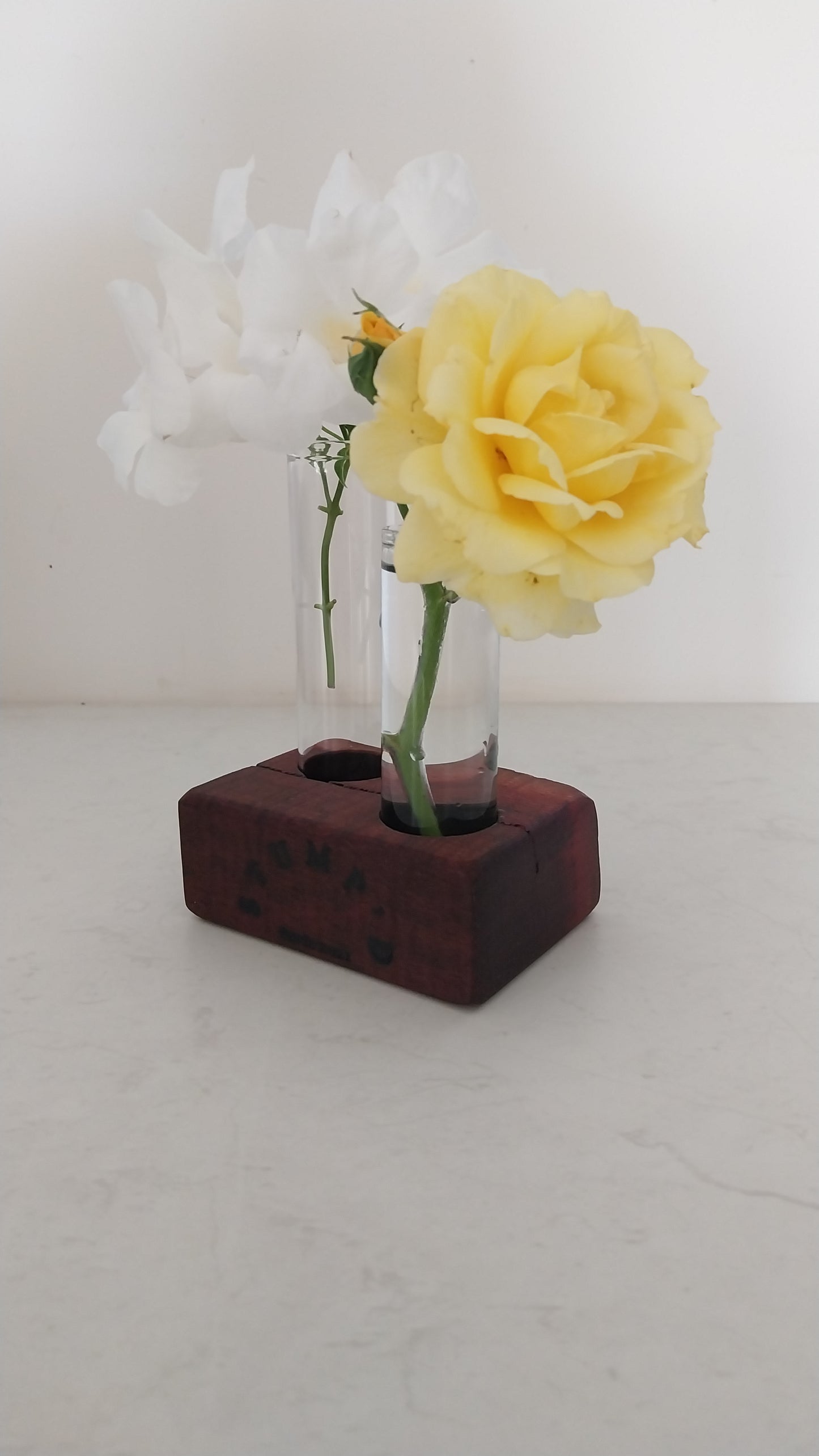 Bud Vase / Plant Propagation 2 tubes - Jarrah