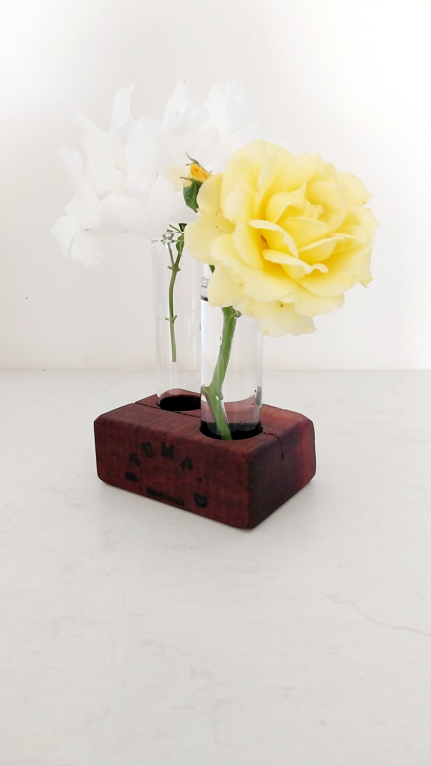 Bud Vase / Plant Propagation 2 tubes - Jarrah