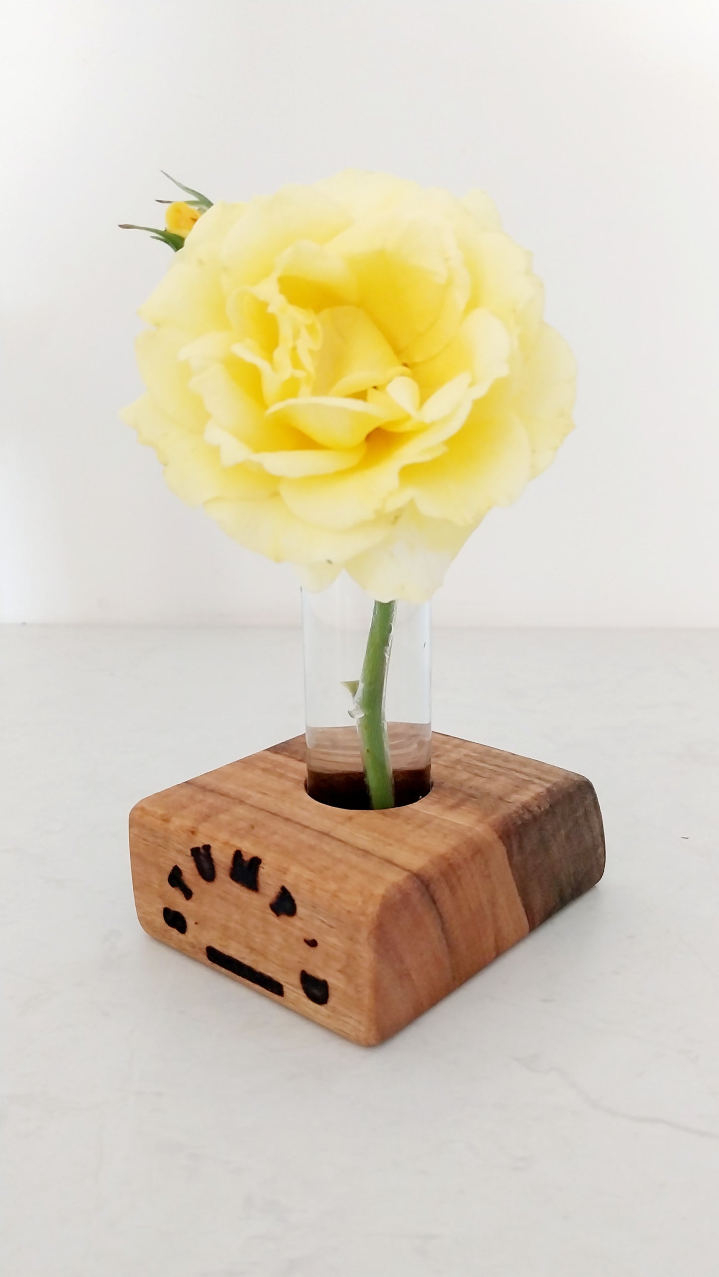 Bud Vase / Plant Propagation 1 tube - Marri