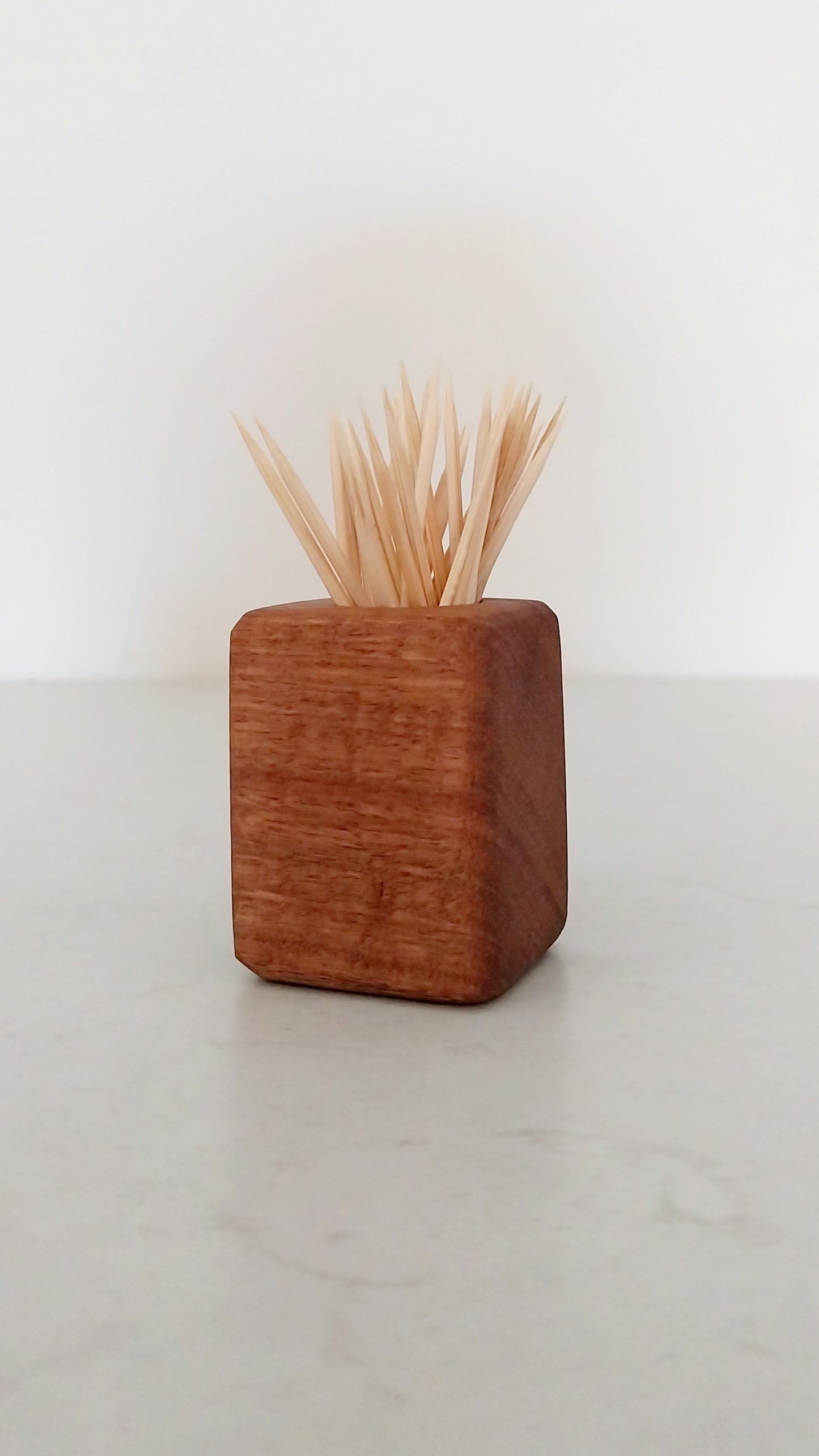 Toothpick Holder - Blackbutt