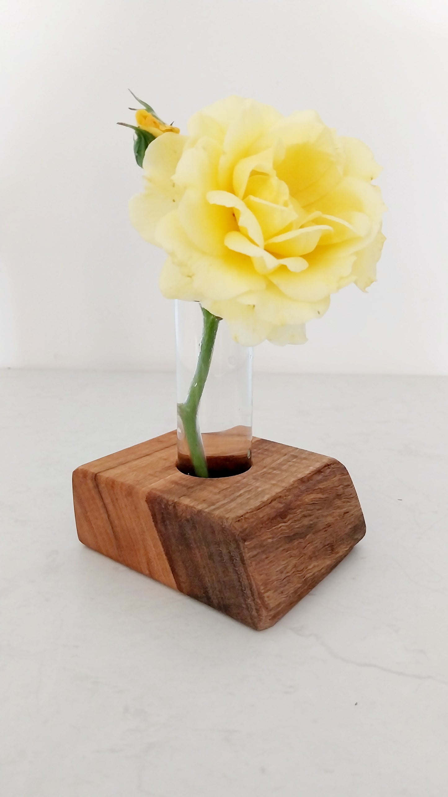 Bud Vase / Plant Propagation 1 tube - Marri