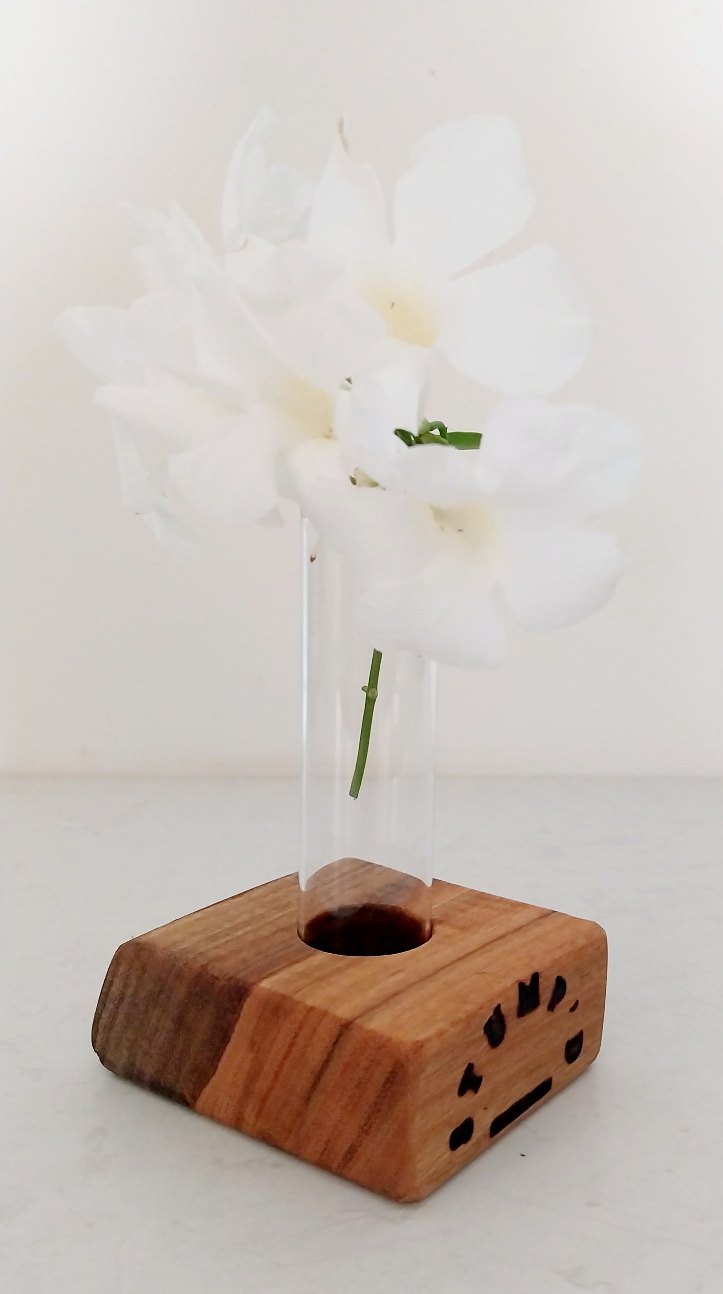 Bud Vase / Plant Propagation 1 tube - Marri