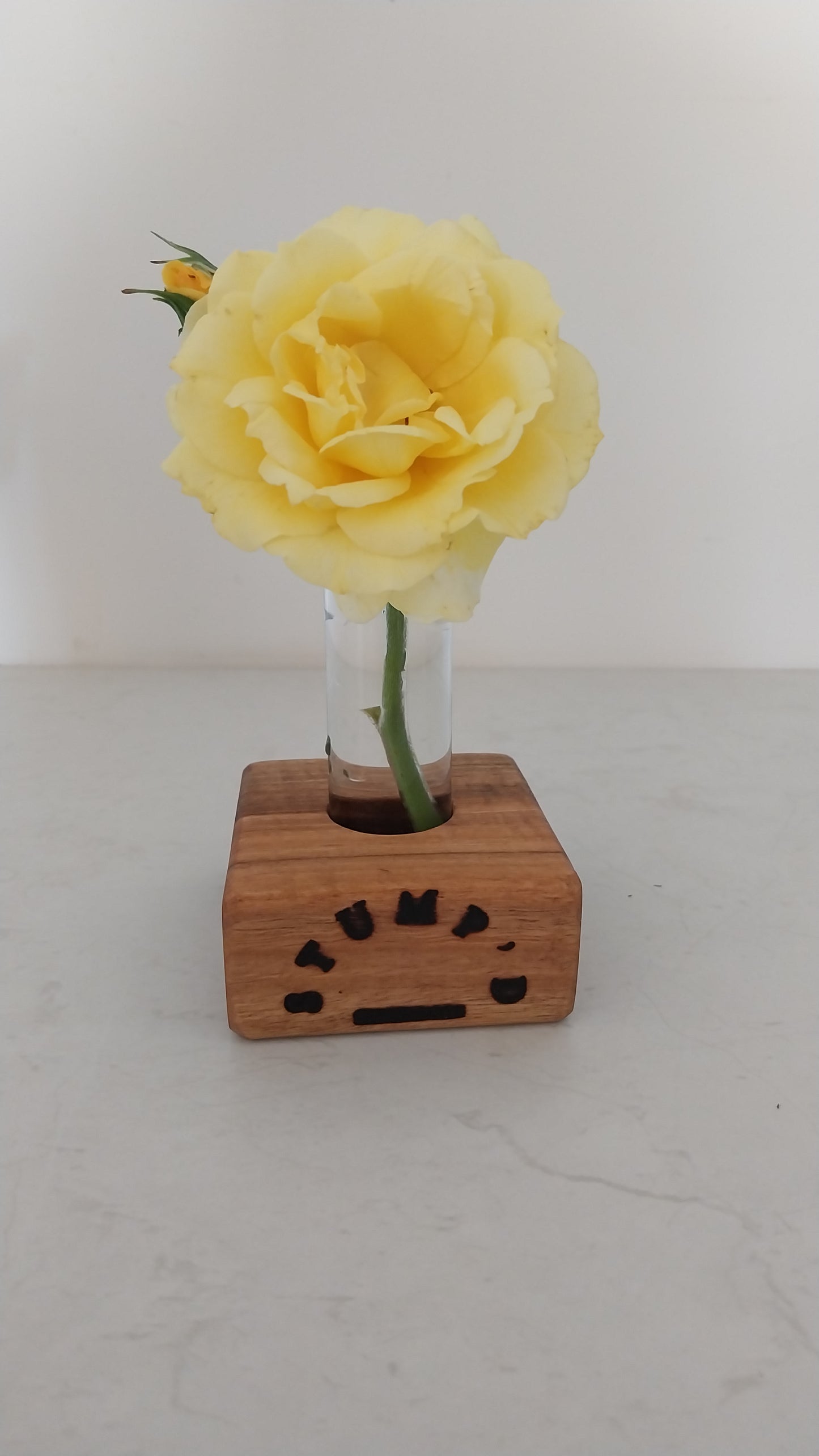 Bud Vase / Plant Propagation 1 tube - Marri