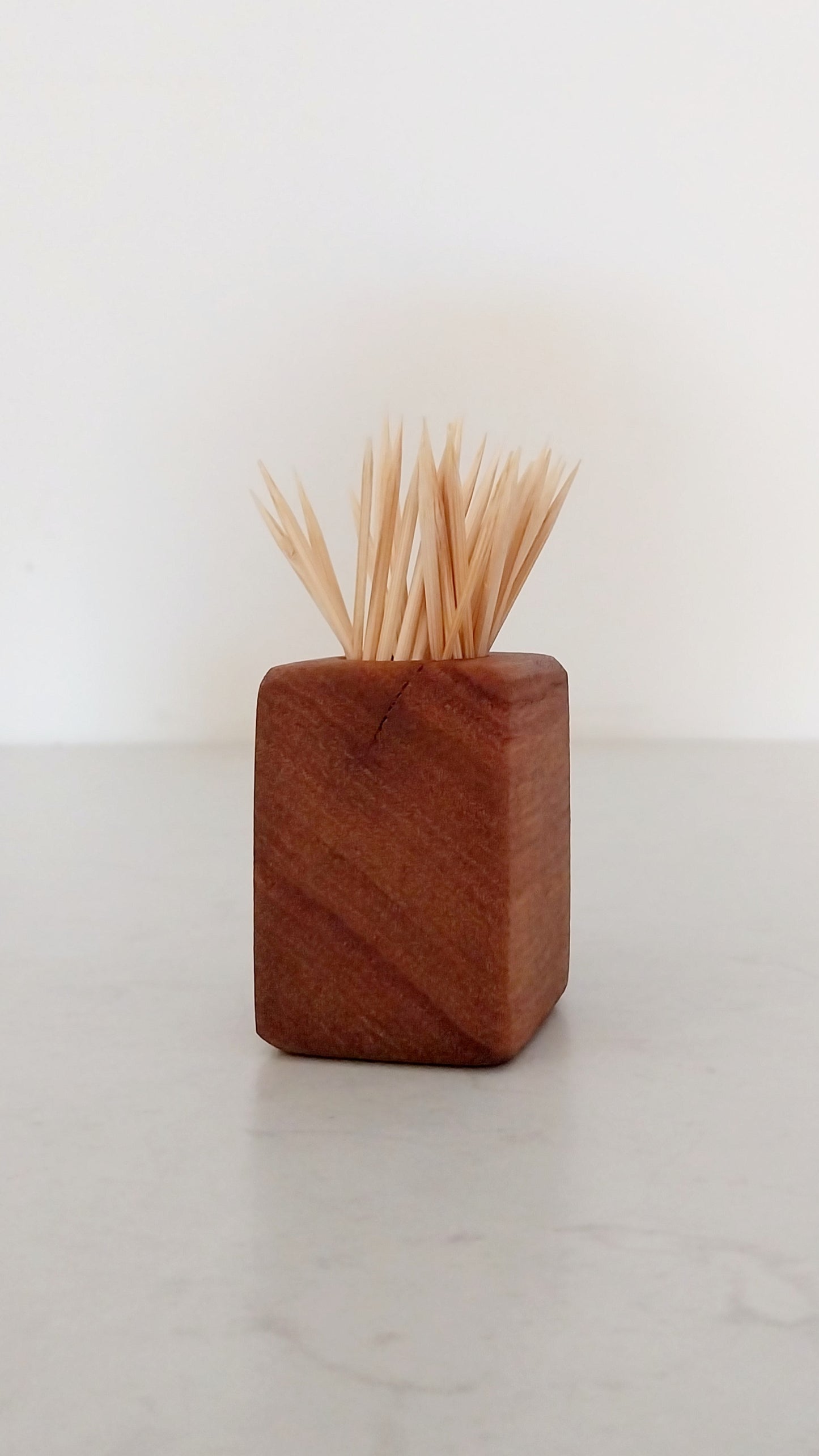 Toothpick Holder - Blackbutt