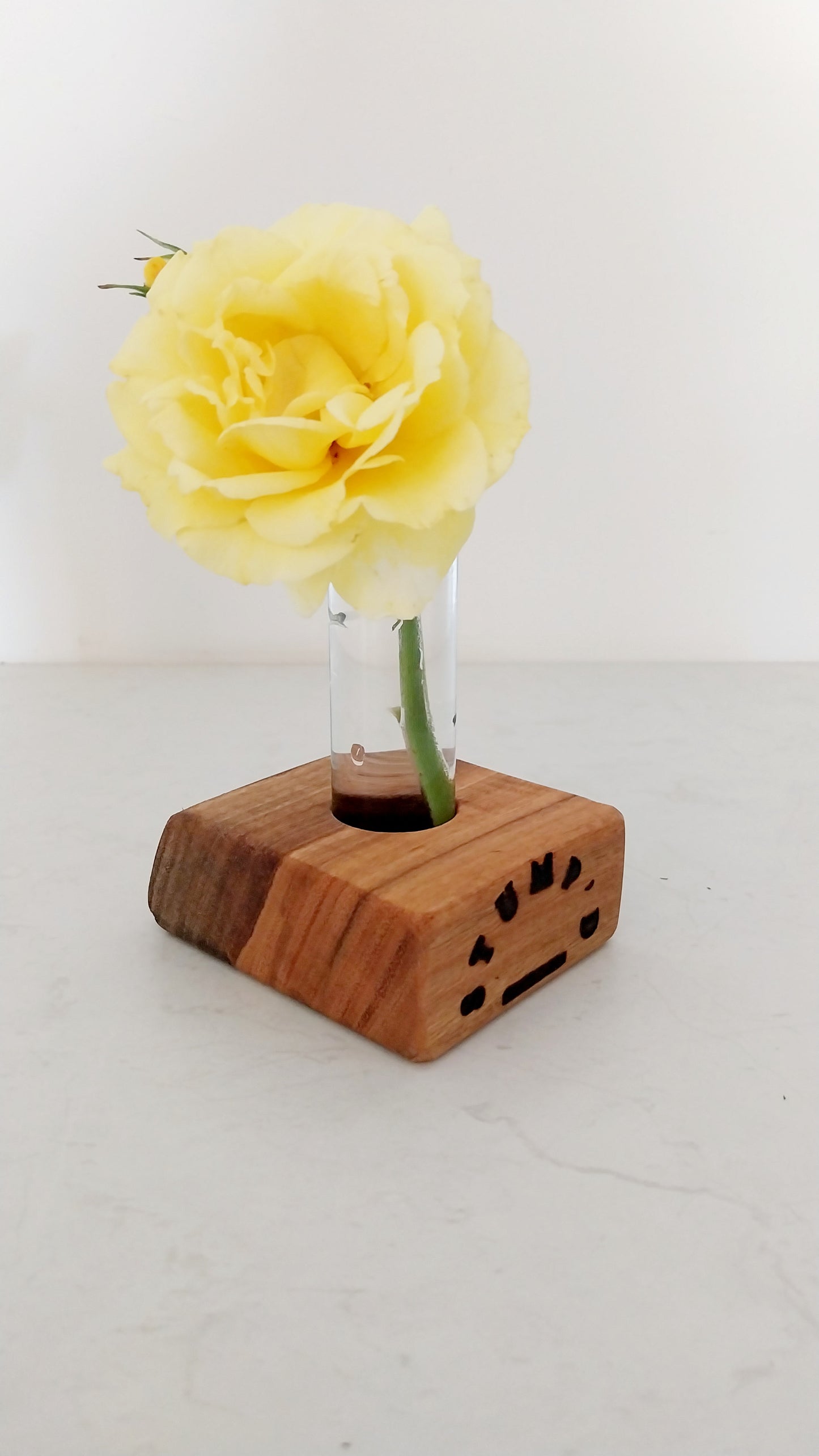 Bud Vase / Plant Propagation 1 tube - Marri