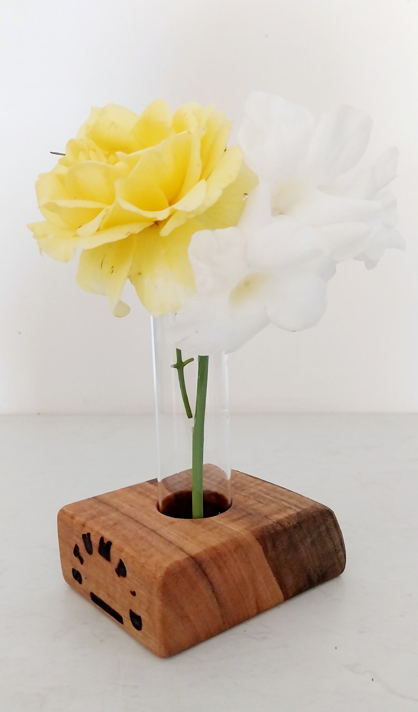 Bud Vase / Plant Propagation 1 tube - Marri