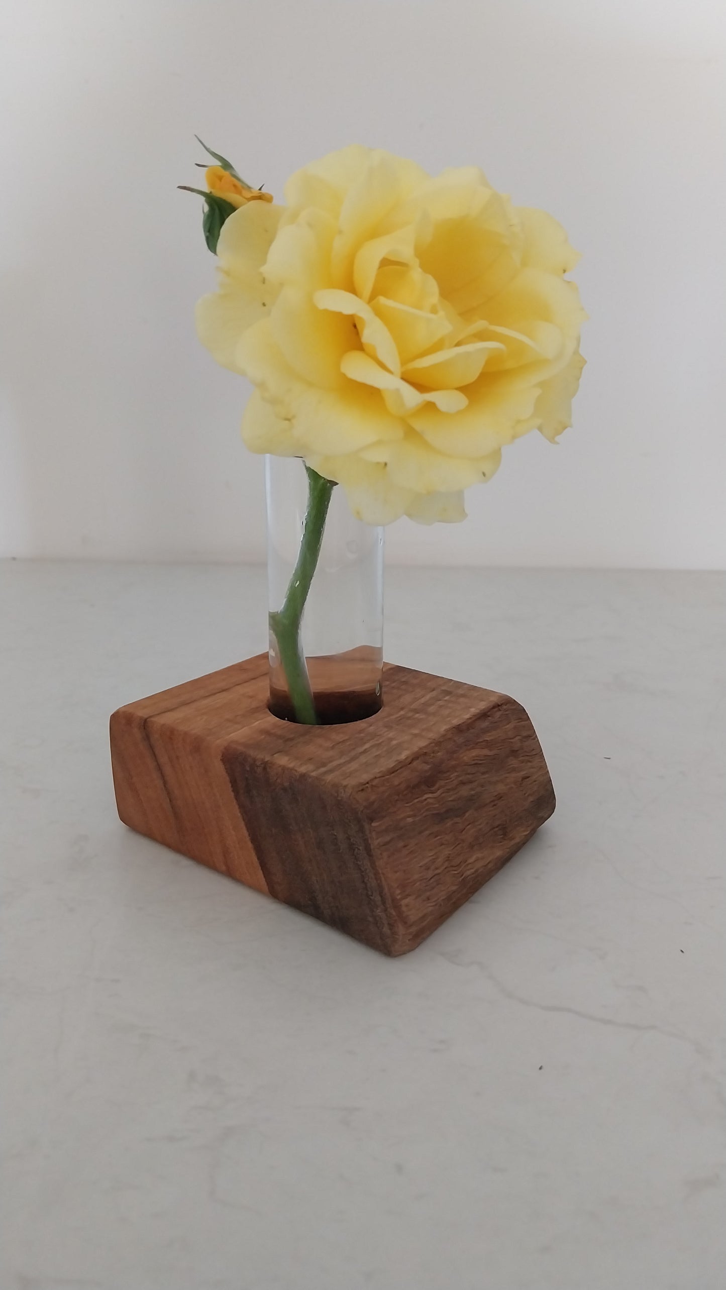 Bud Vase / Plant Propagation 1 tube - Marri