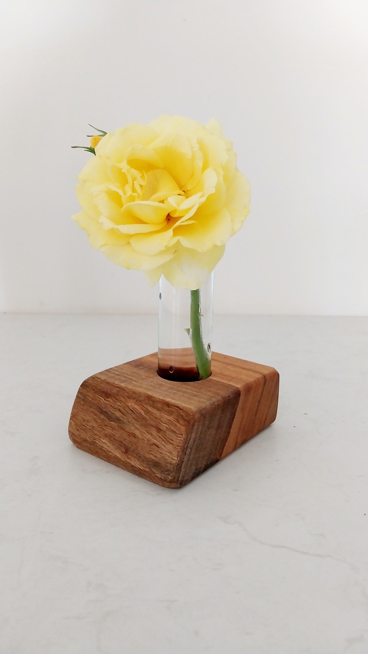 Bud Vase / Plant Propagation 1 tube - Marri