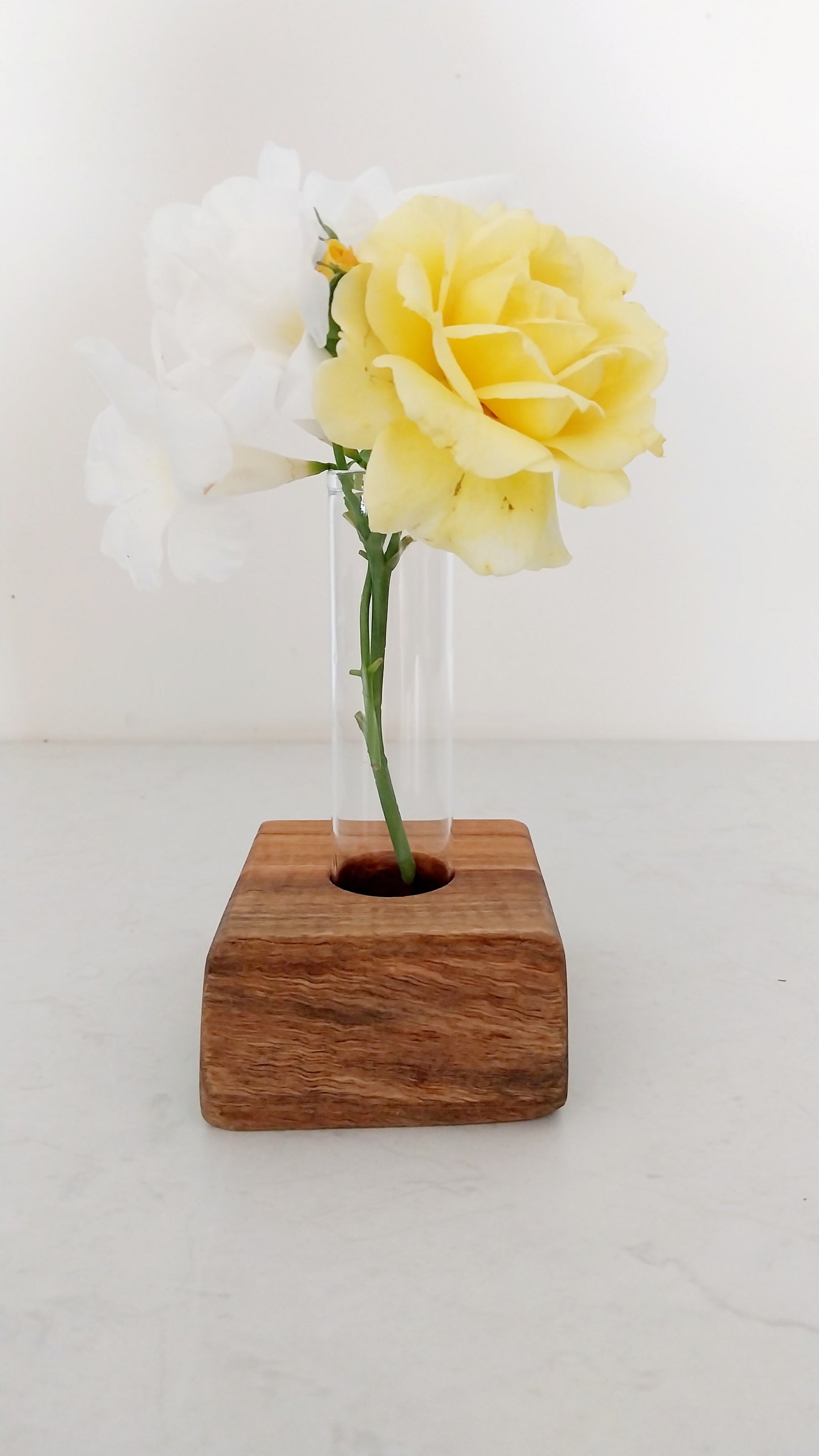 Bud Vase / Plant Propagation 1 tube - Marri