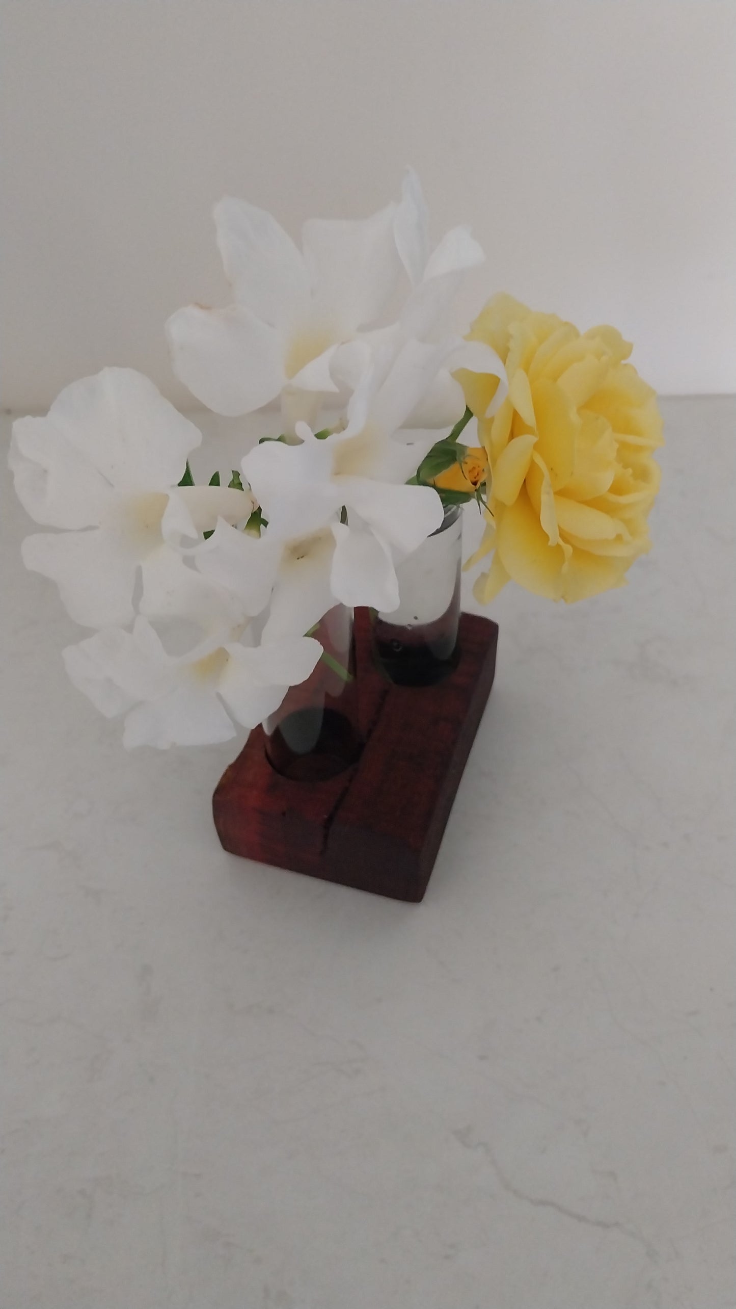 Bud Vase / Plant Propagation 2 tubes - Jarrah