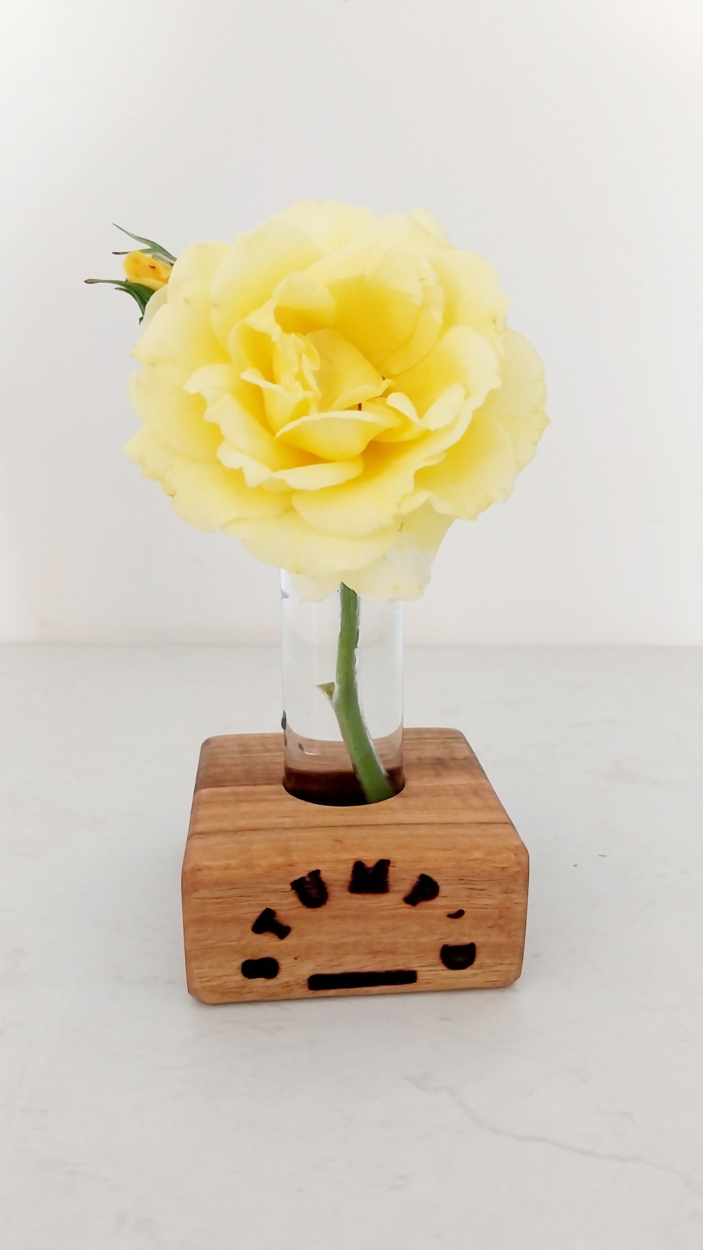 Bud Vase / Plant Propagation 1 tube - Marri