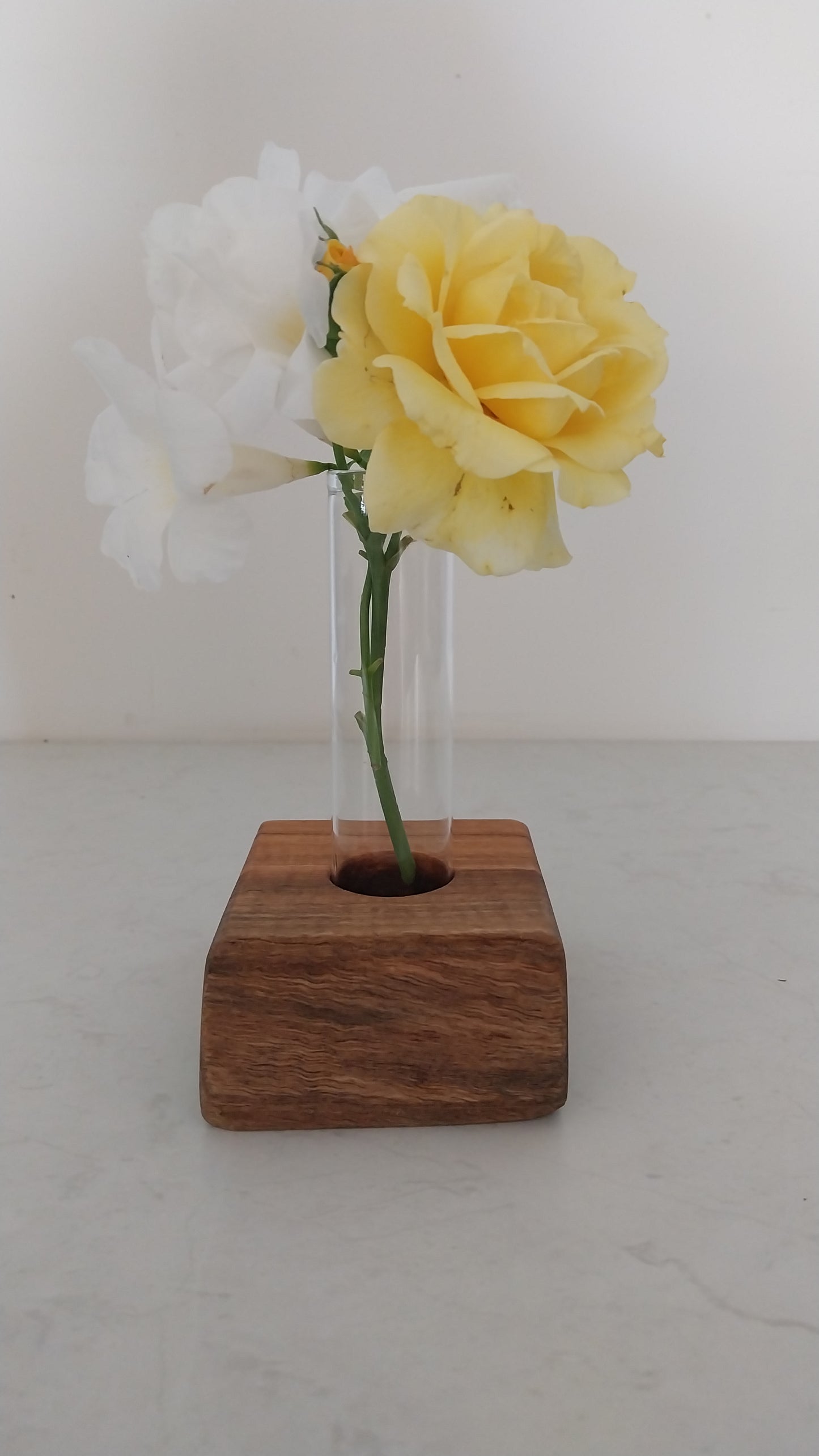 Bud Vase / Plant Propagation 1 tube - Marri