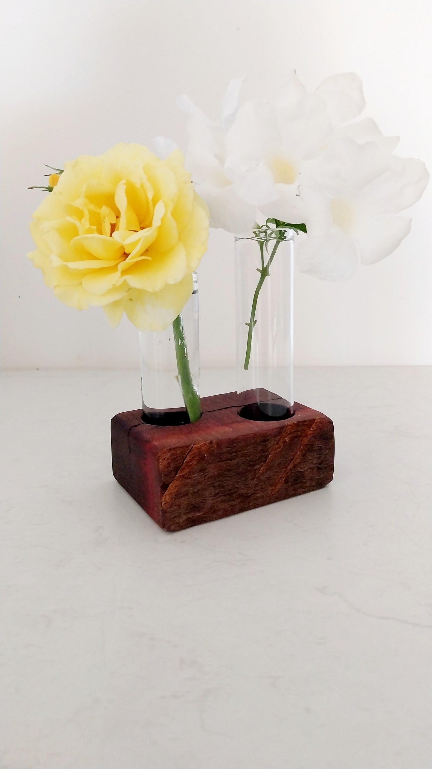 Bud Vase / Plant Propagation 2 tubes - Jarrah