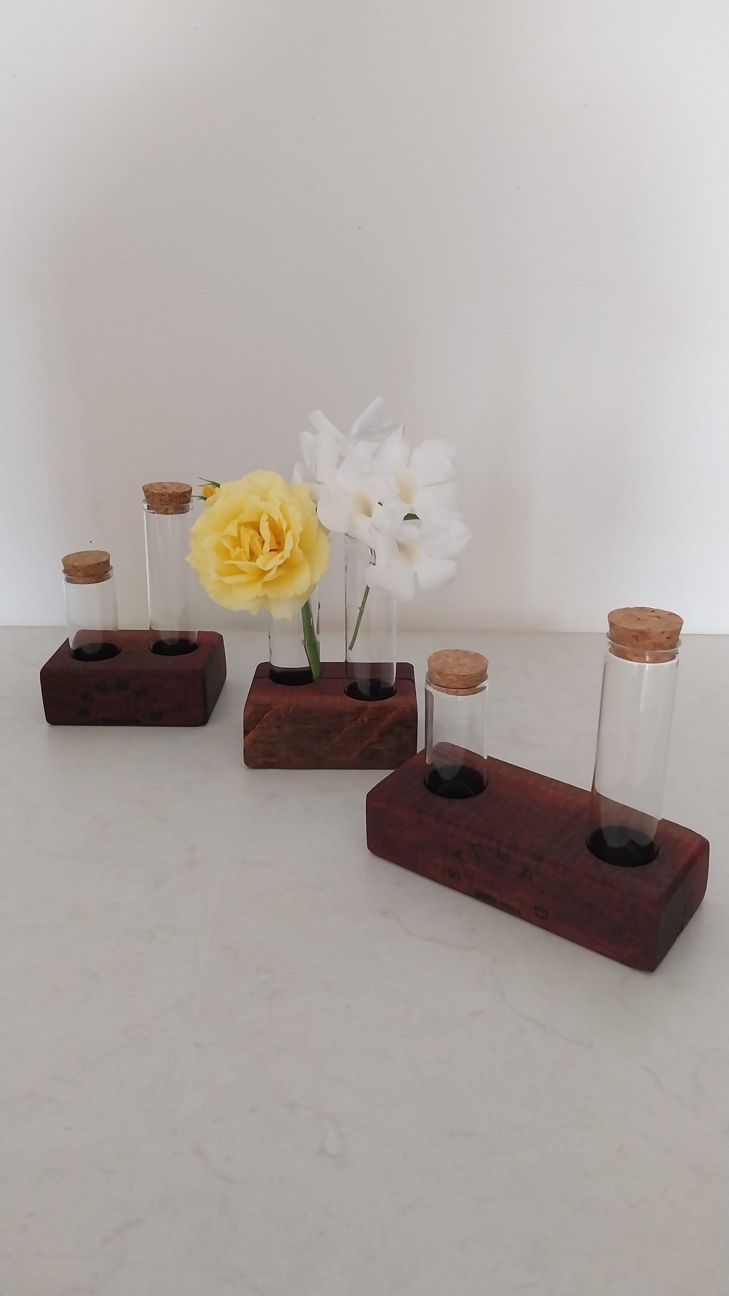 Bud Vase / Plant Propagation 2 tubes - Jarrah