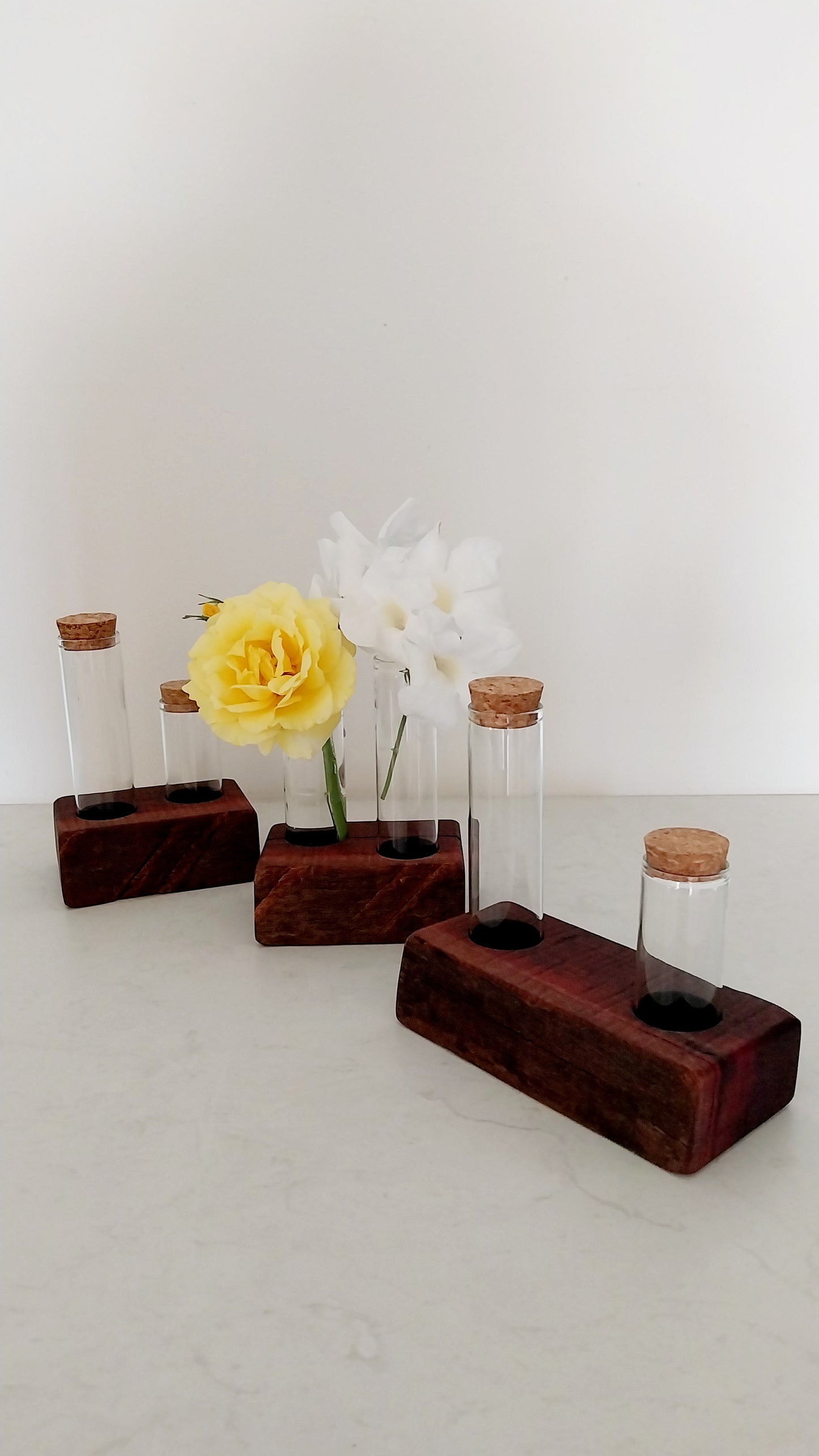 Bud Vase / Plant Propagation 2 tubes - Jarrah