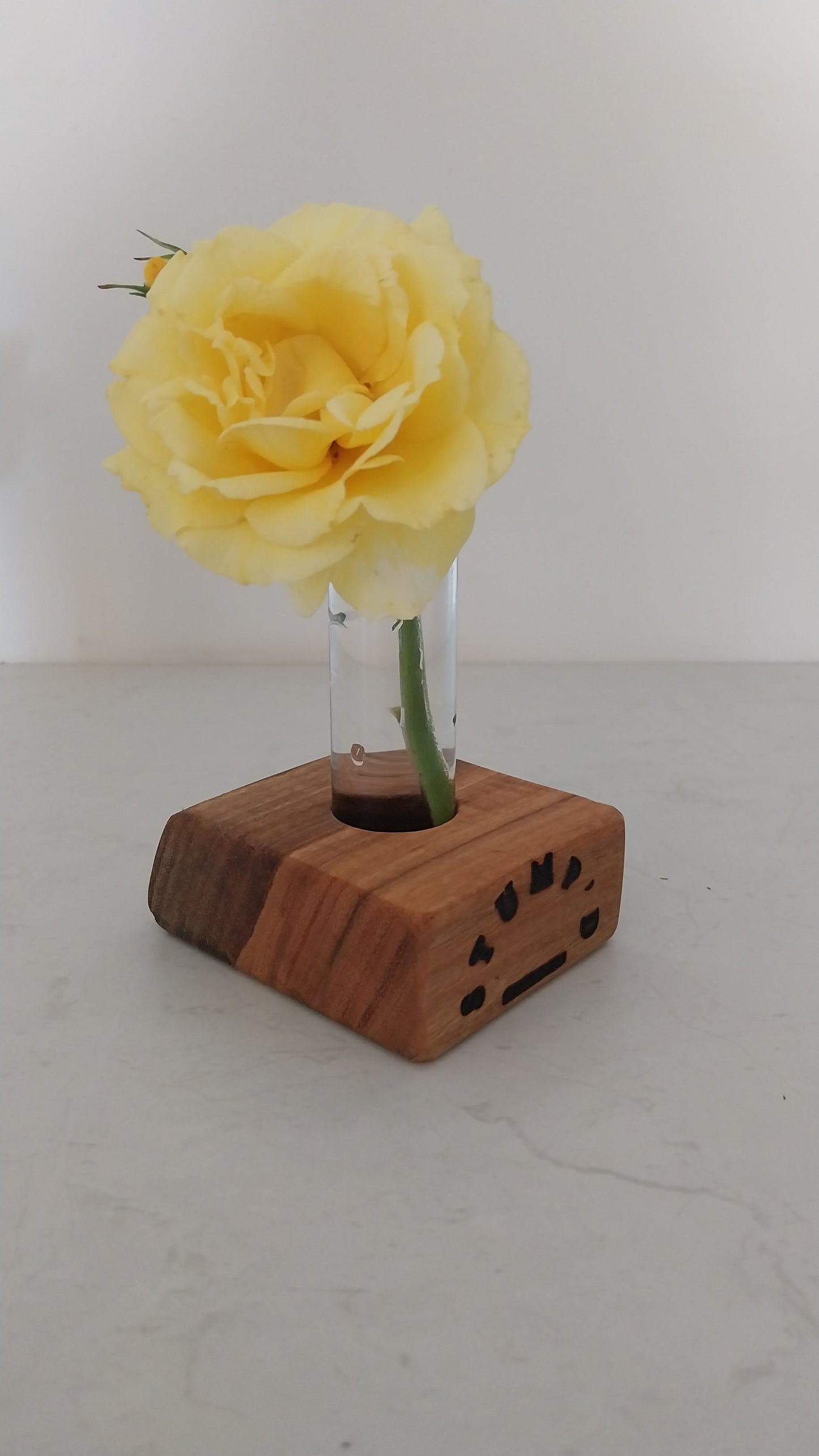 Bud Vase / Plant Propagation 1 tube - Marri