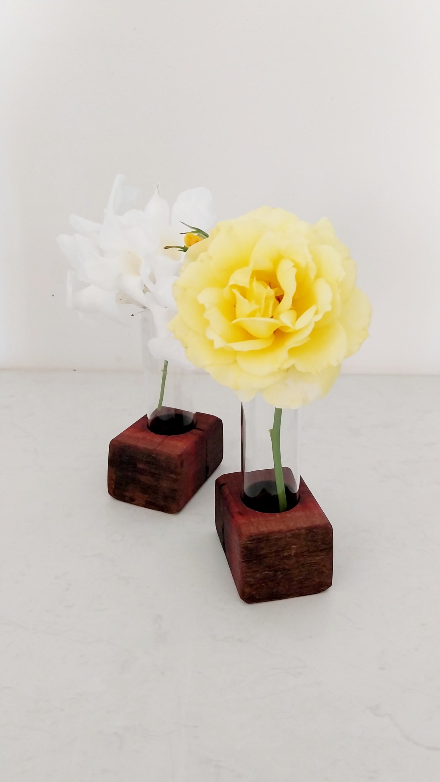 Bud Vase / Plant Propagation 1 tube - Jarrah