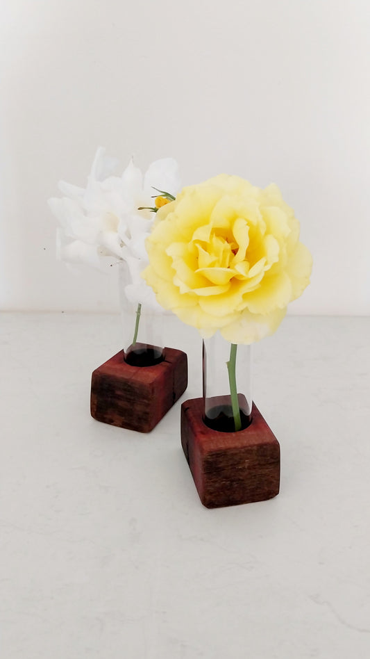 Bud Vase / Plant Propagation 1 tube - Jarrah