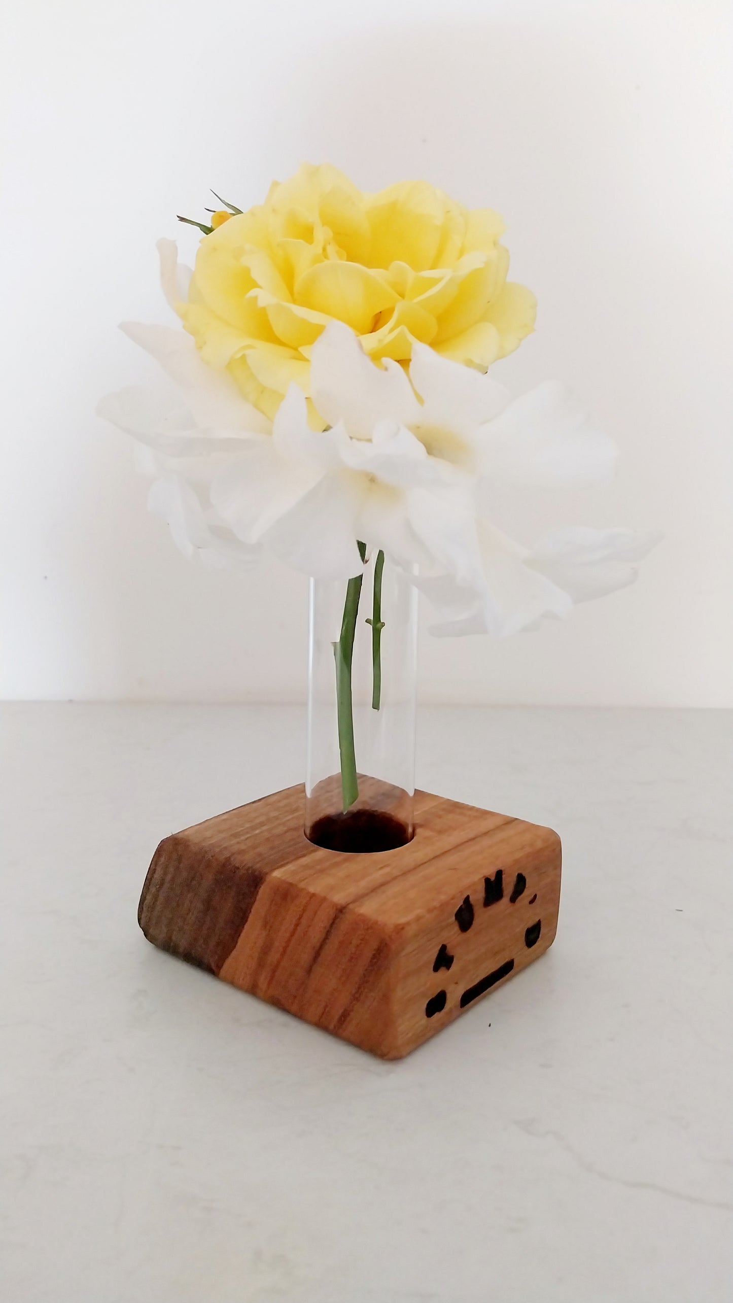 Bud Vase / Plant Propagation 1 tube - Marri