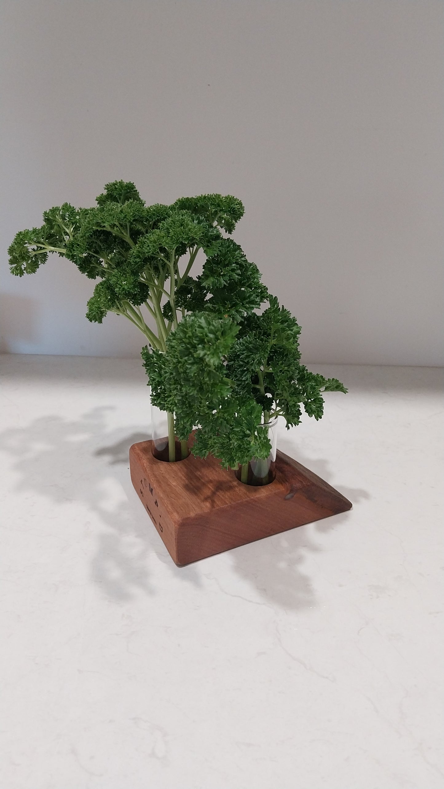 Bud Vase / Plant Propagation Stand 2 Tube - Tasmanian Blackwood