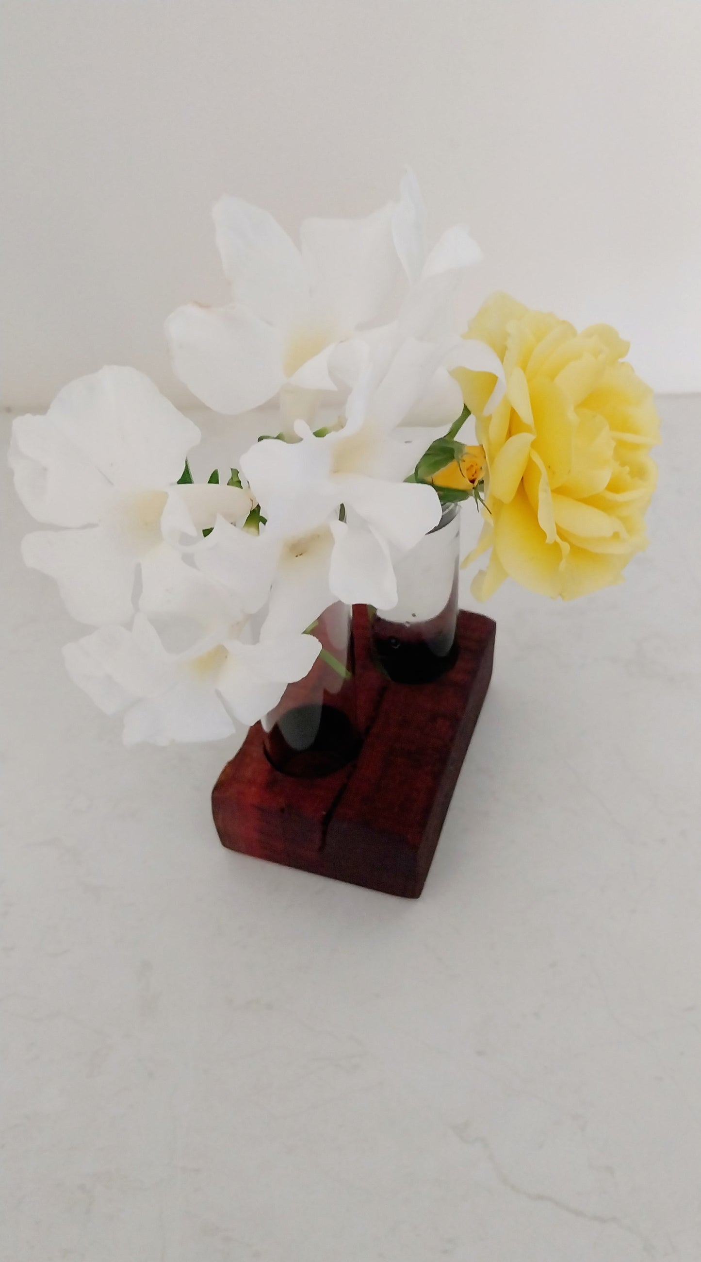 Bud Vase / Plant Propagation 2 tubes - Jarrah