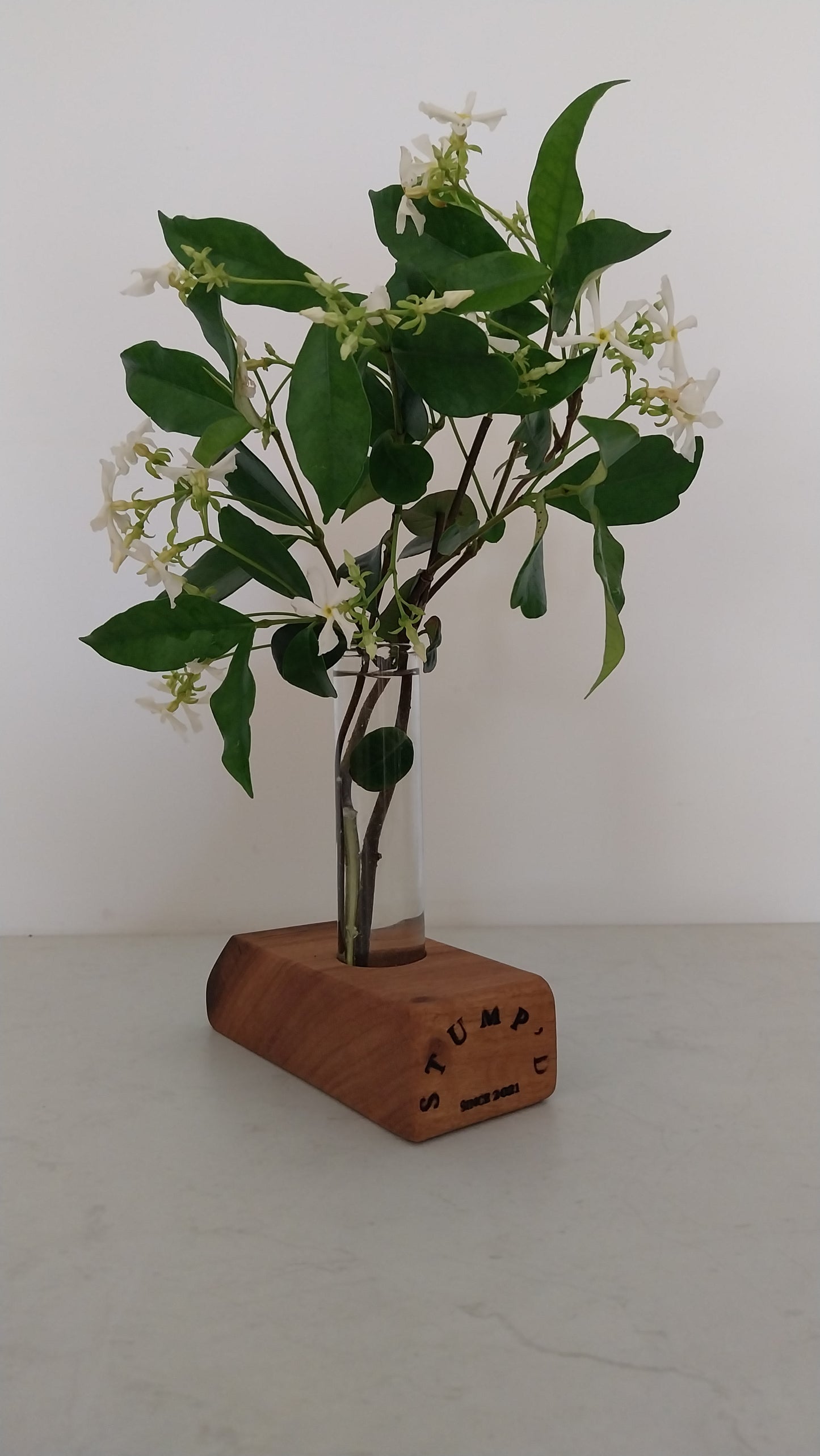 Bud Vase / Plant Propagation Stand 1 Tube - Tasmanian Blackwood