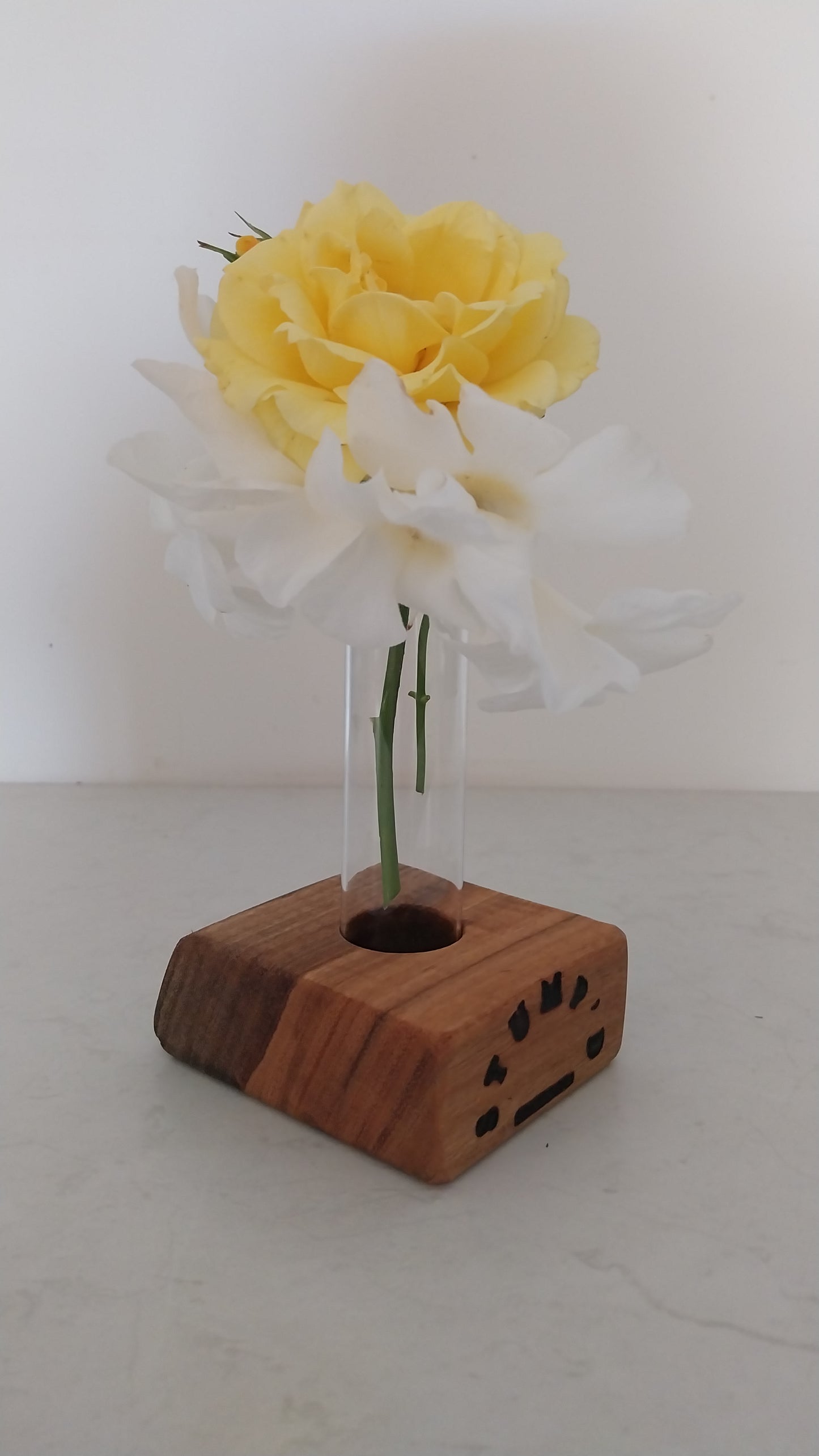 Bud Vase / Plant Propagation 1 tube - Marri